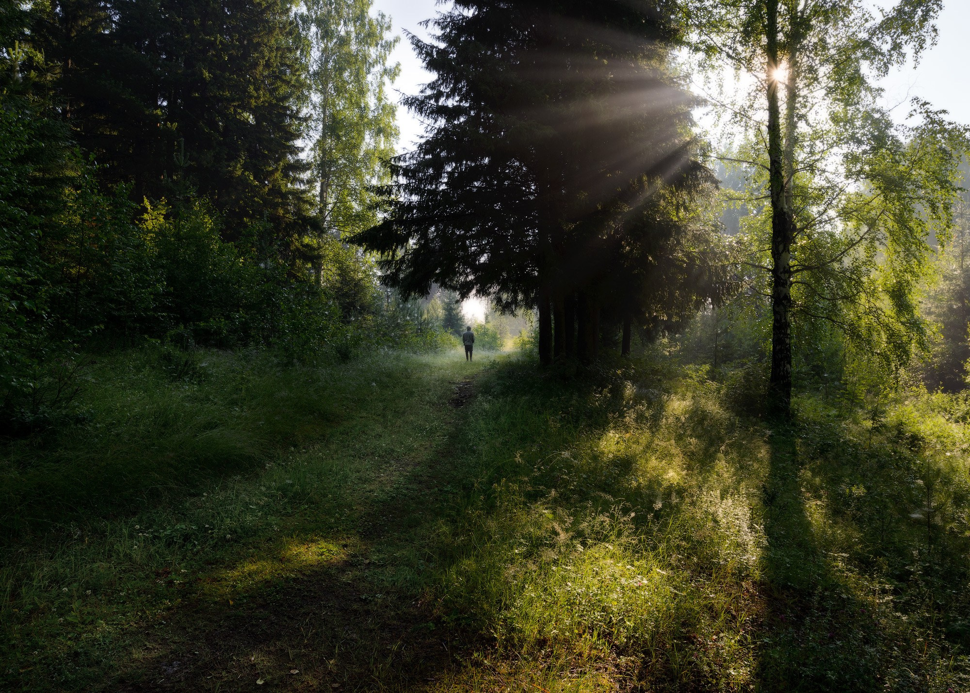 Летние пейзажи Черноисточинска | Фотограф Николай Обухов