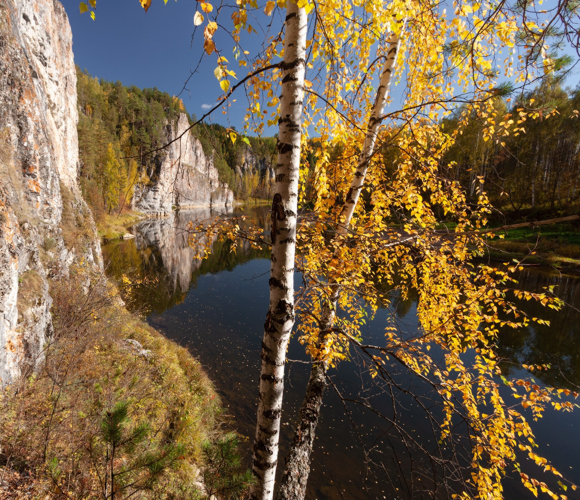 Осенние березы на Камне Омутном