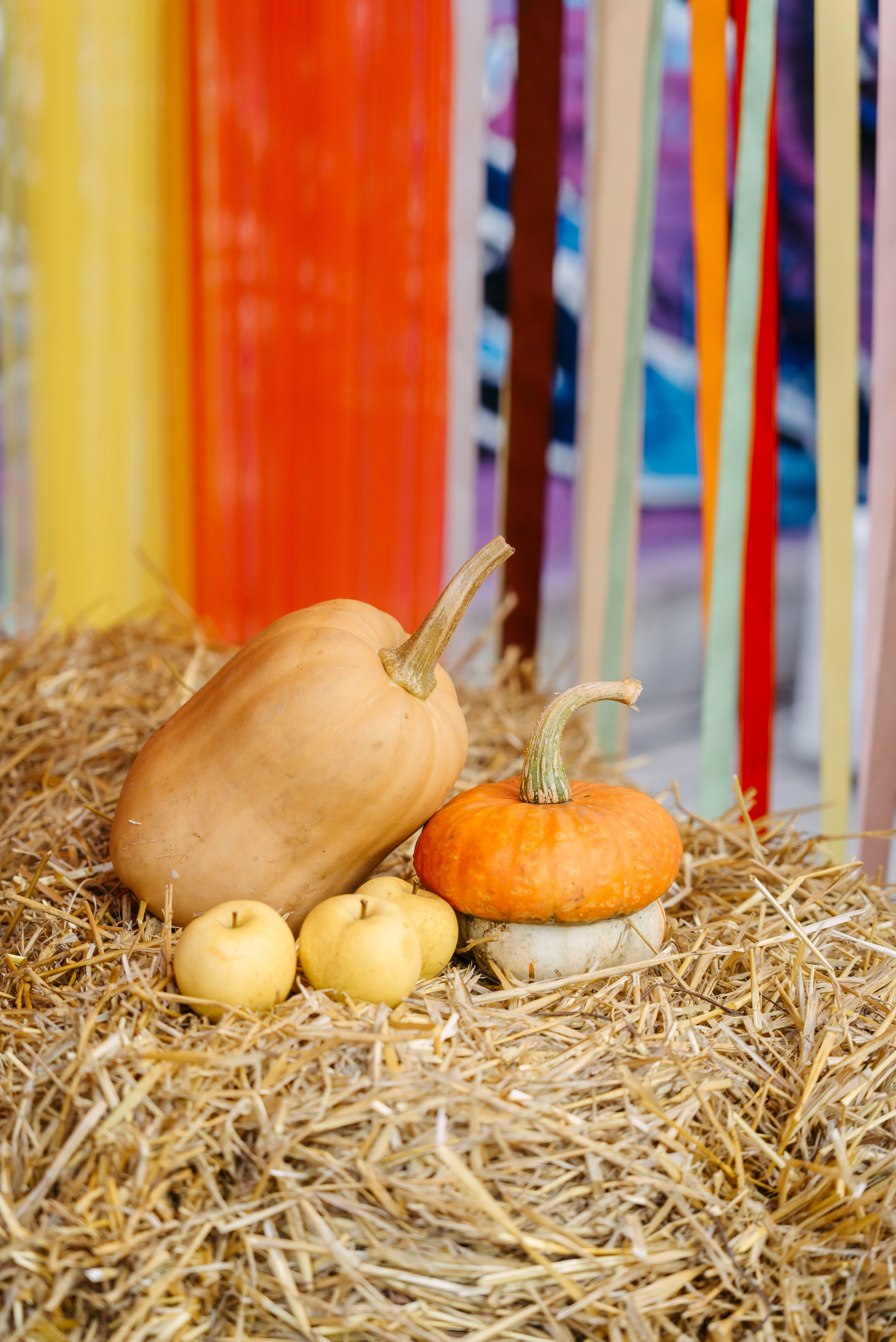 27–28 сентября 2025 в Казани на фестивале «Очень! Осень» / фото Александр Копылов. Фотоотчеты «Ламбада-маркета»