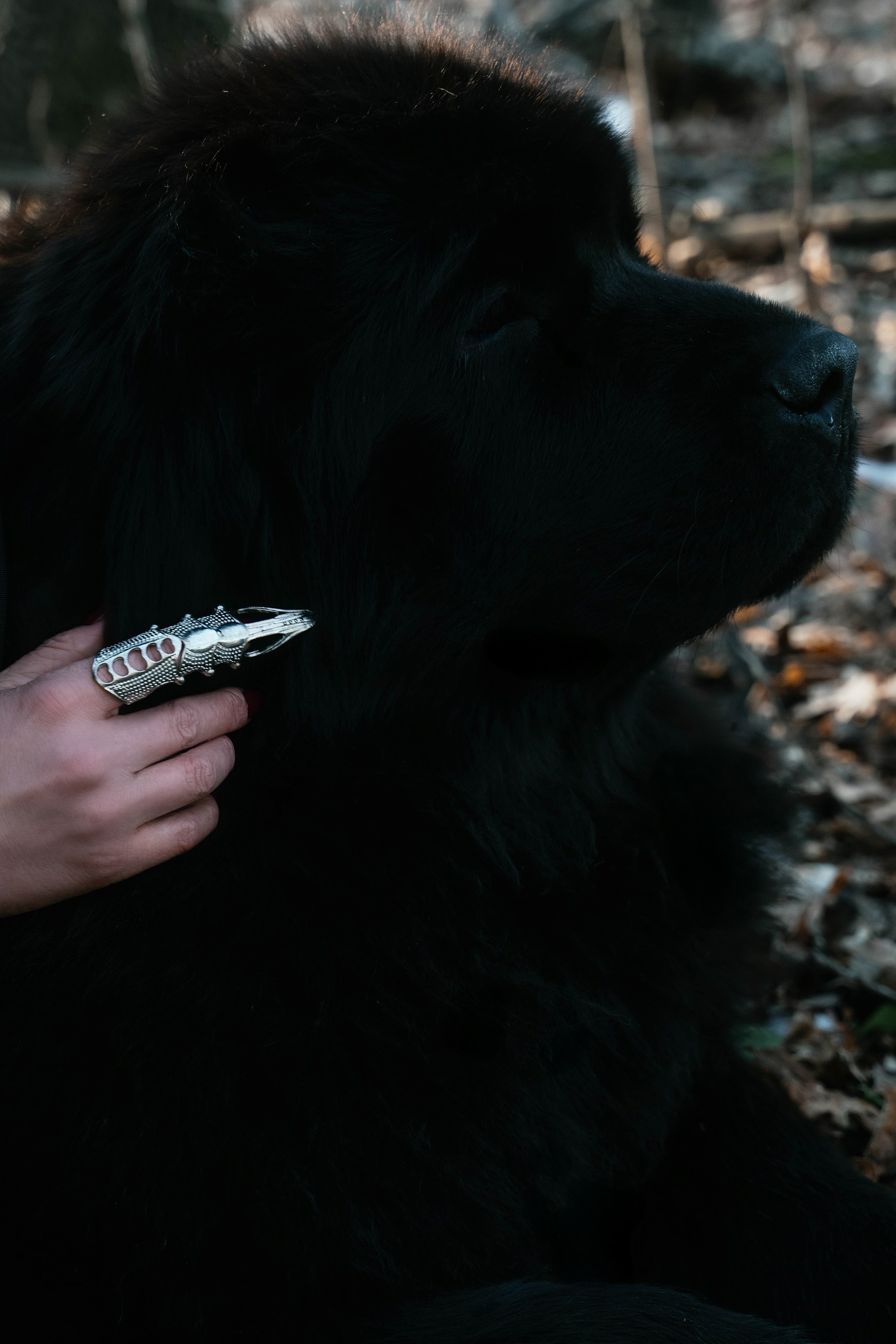 Лена. Свадебный, семейный фотограф в Рязани Лена Брант