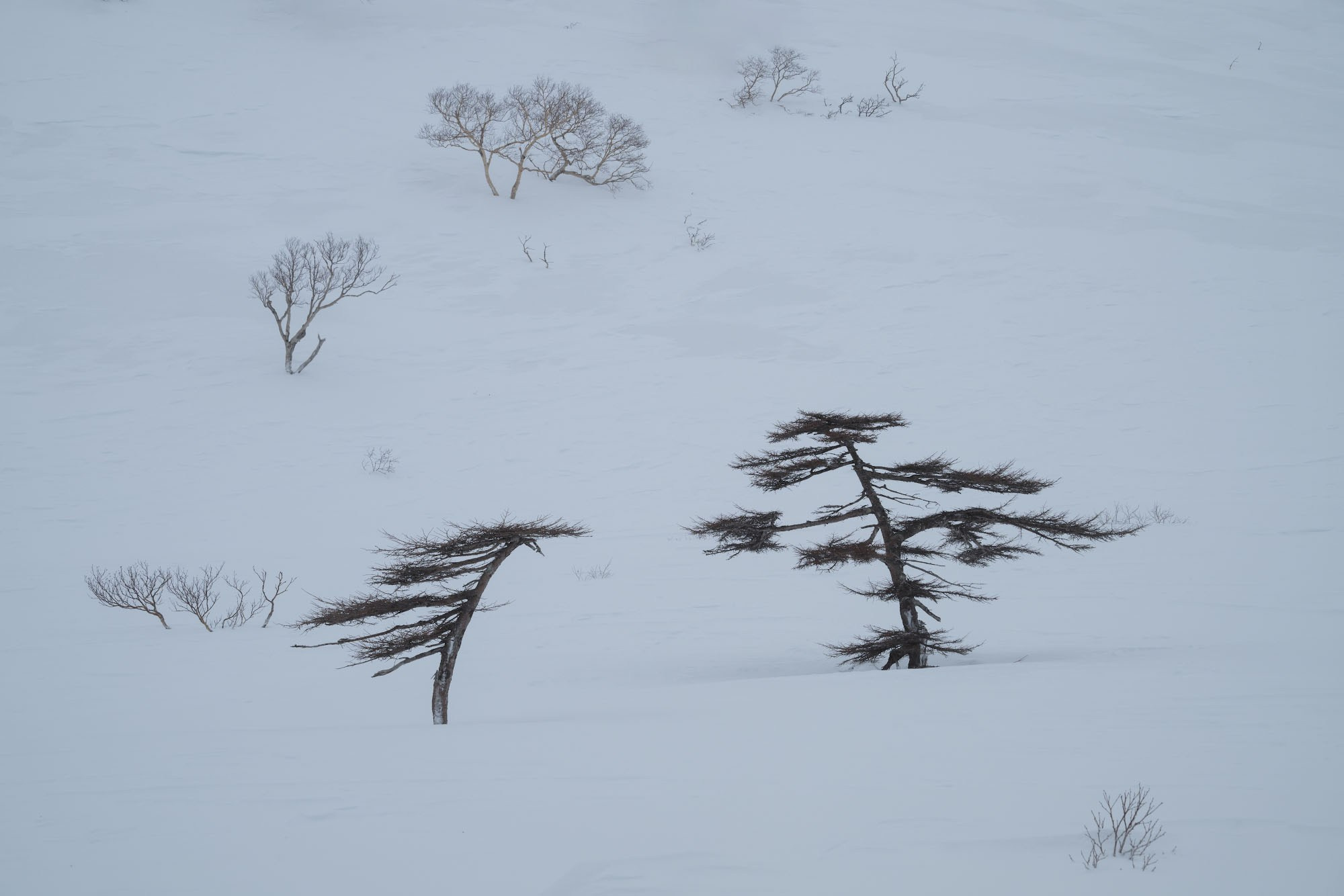 Фотогалерея Зимние Курилы