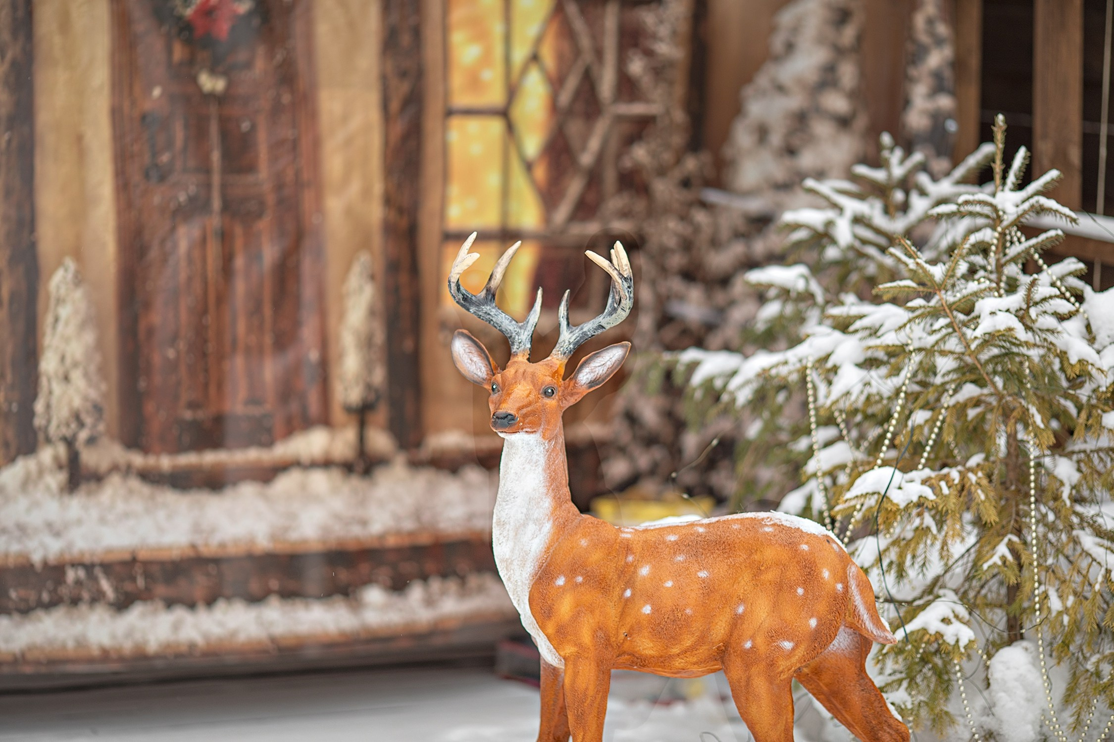 Парк-заповедник Купидон. Семейный фотограф в Димитровграде Елена Патрушева