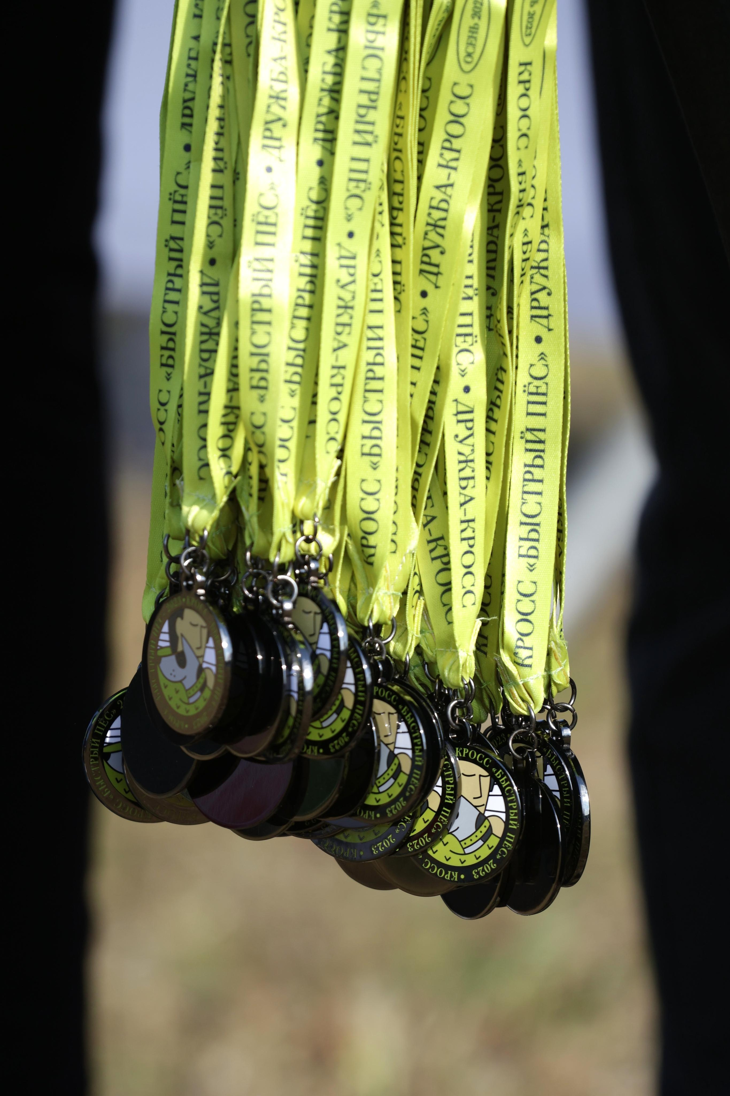 Кросс «Быстрый пёс 2023». Спортивный и репортажный фотограф Ермакова Светлана