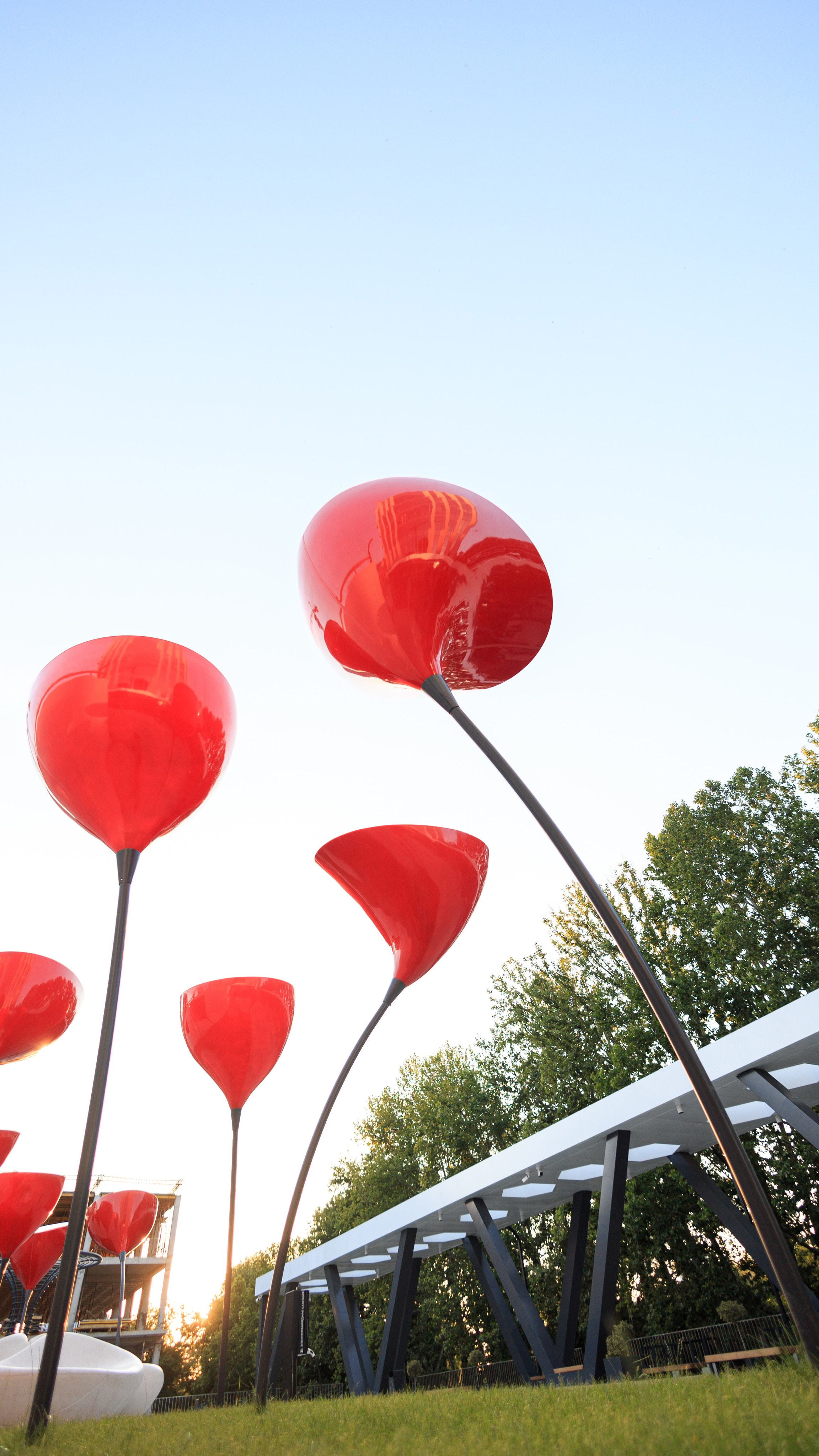 Сота. Свадебный фотограф в Крыму