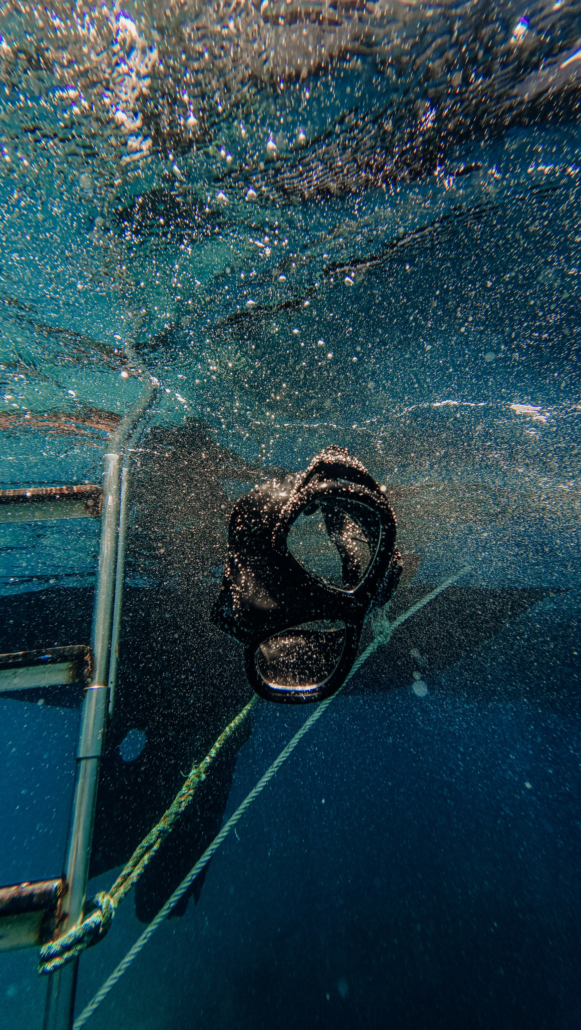 Галерея. Дайвинг во Вьетнаме