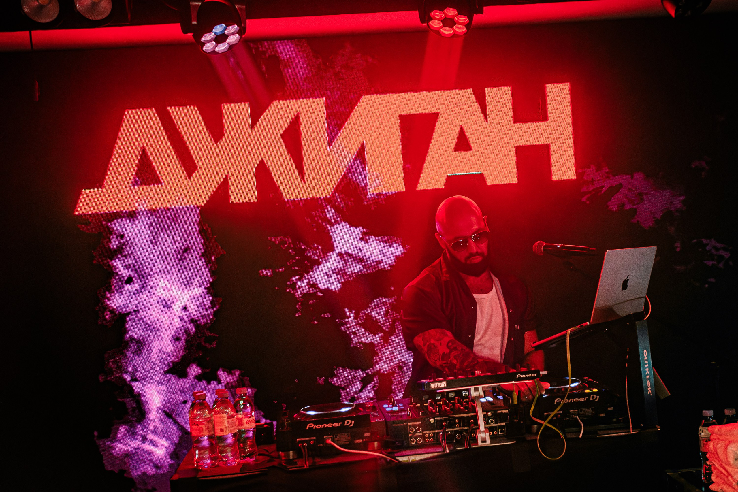 «Джиган"_Чайка на пляже_Ялта_12.07.2025 г. Аминов Руслан | Фотограф