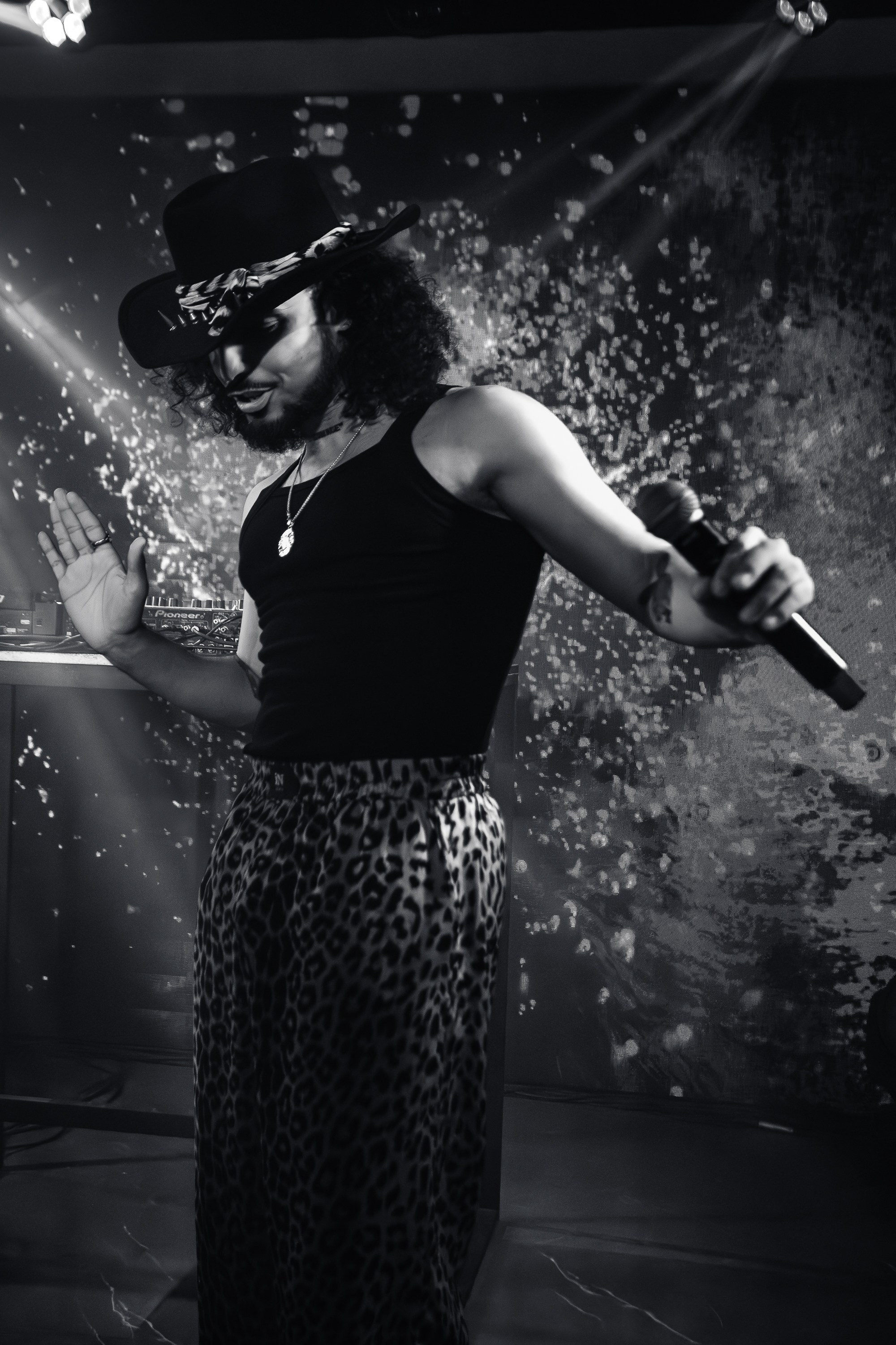 «КРАВЦ"_Чайка на пляже_Ялта_27.08.2025 г. Аминов Руслан | Фотограф