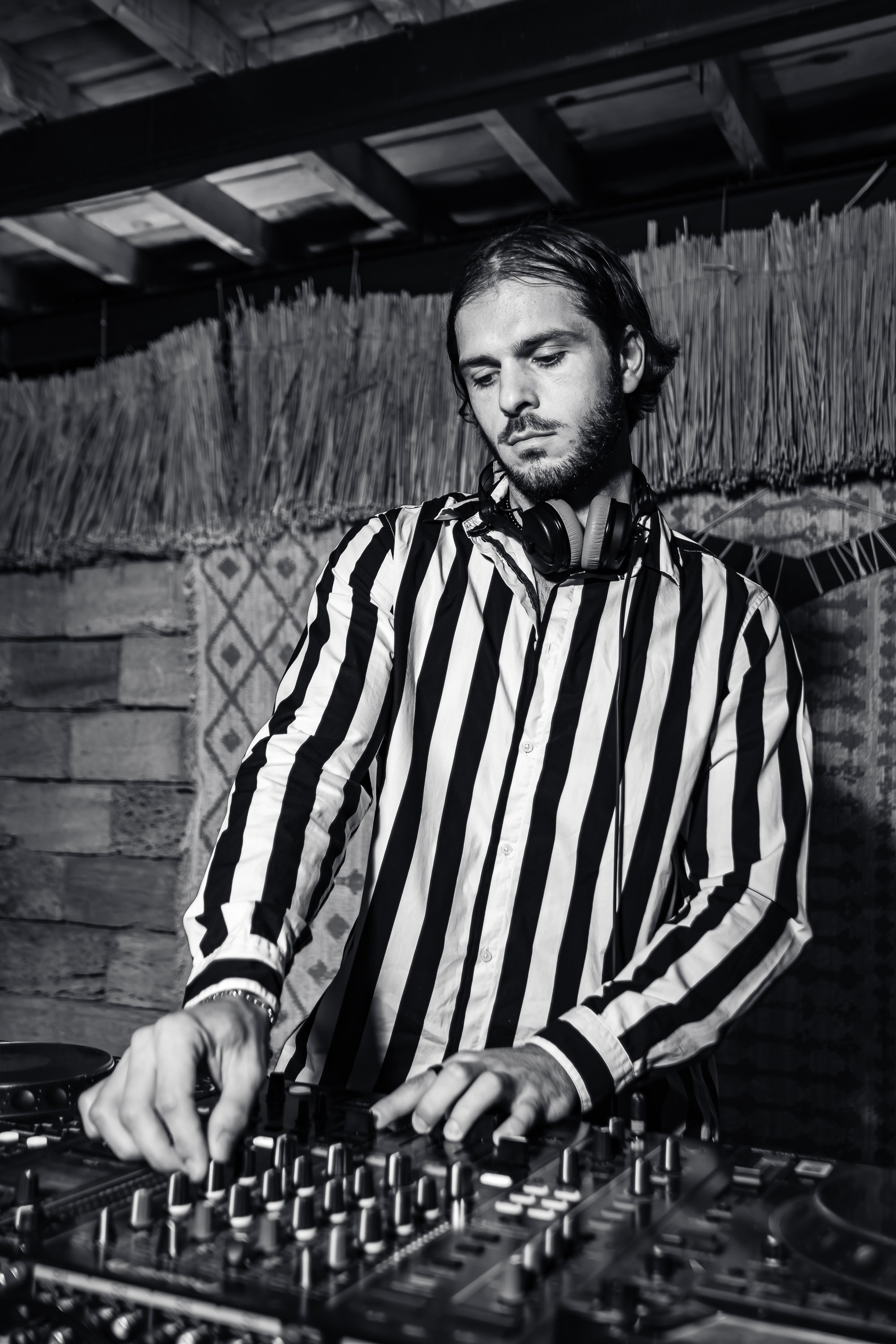 «LYRIQ"_Чайка на пляже_Ялта_15.08.2025 г. Аминов Руслан | Фотограф