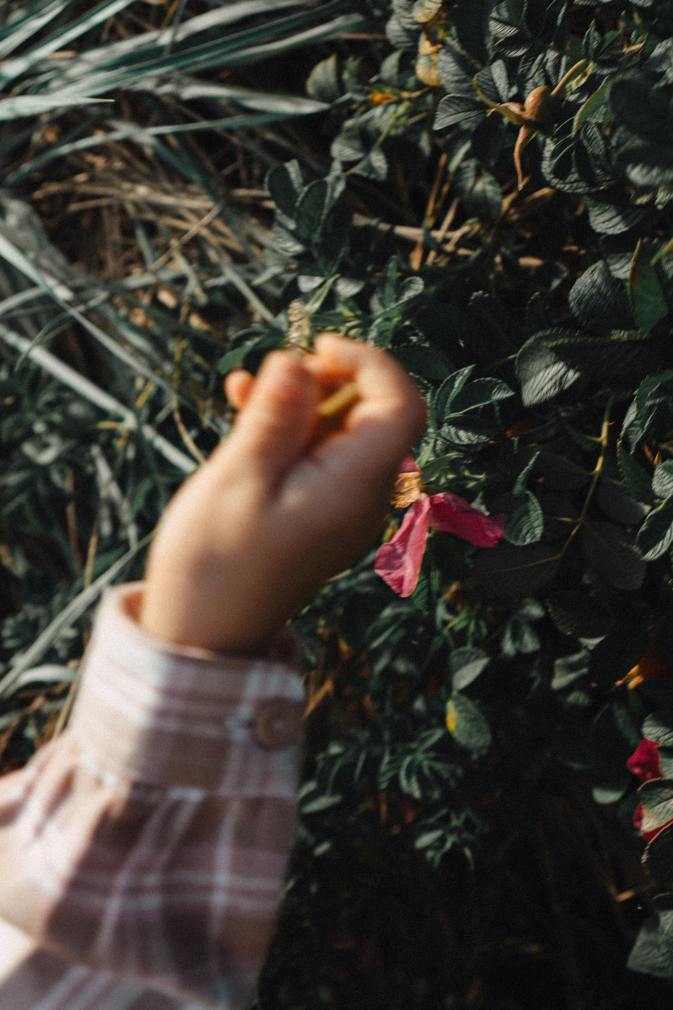 МАМА И ДОЧКА НА ФИНСКОМ ЗАЛИВЕ. Профессиональный фотограф, Санкт-Петербург — Виктория Богомолова