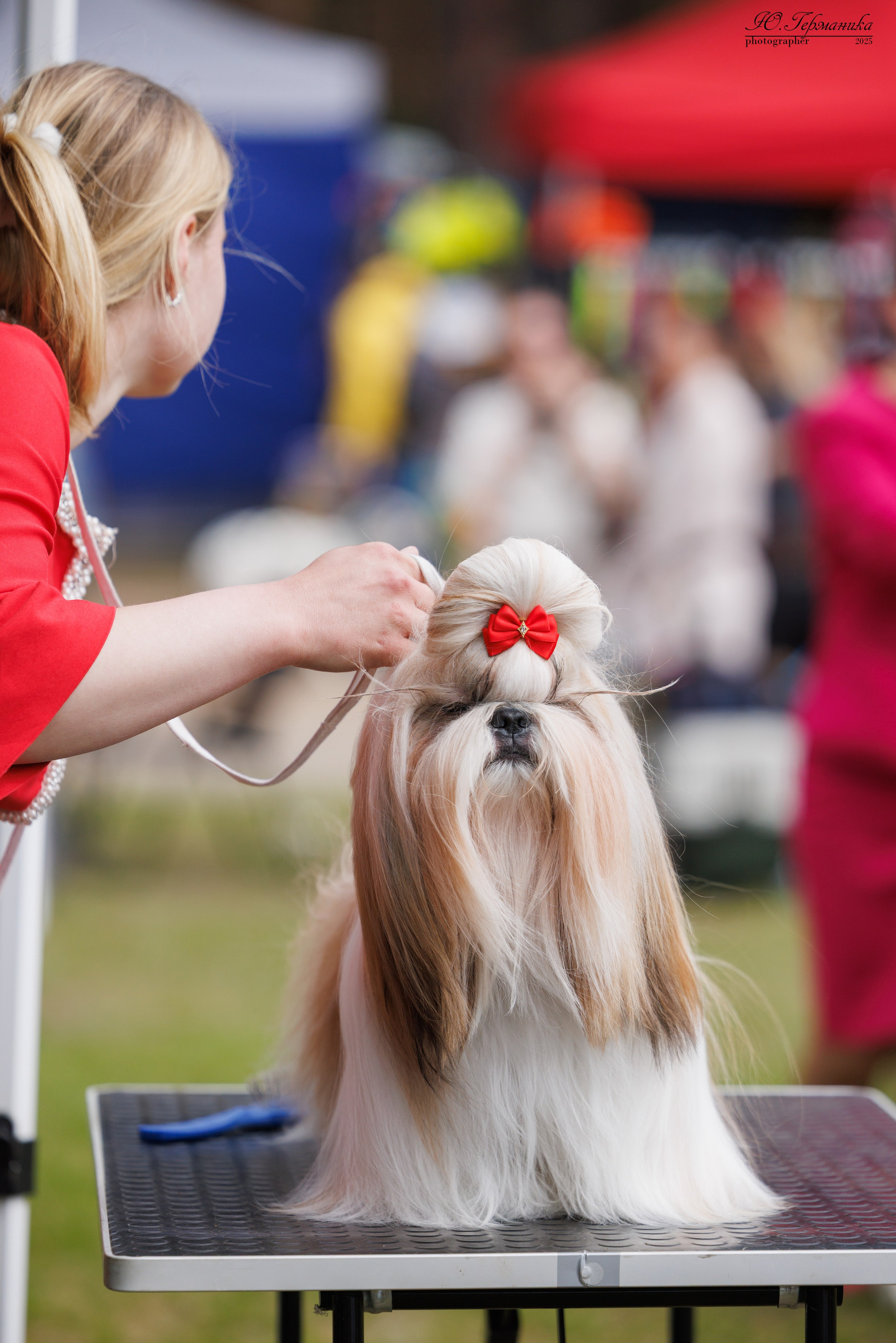 Суздаль(Владимир)17-18.05.2025. Фотограф-анималист Юлия Германика