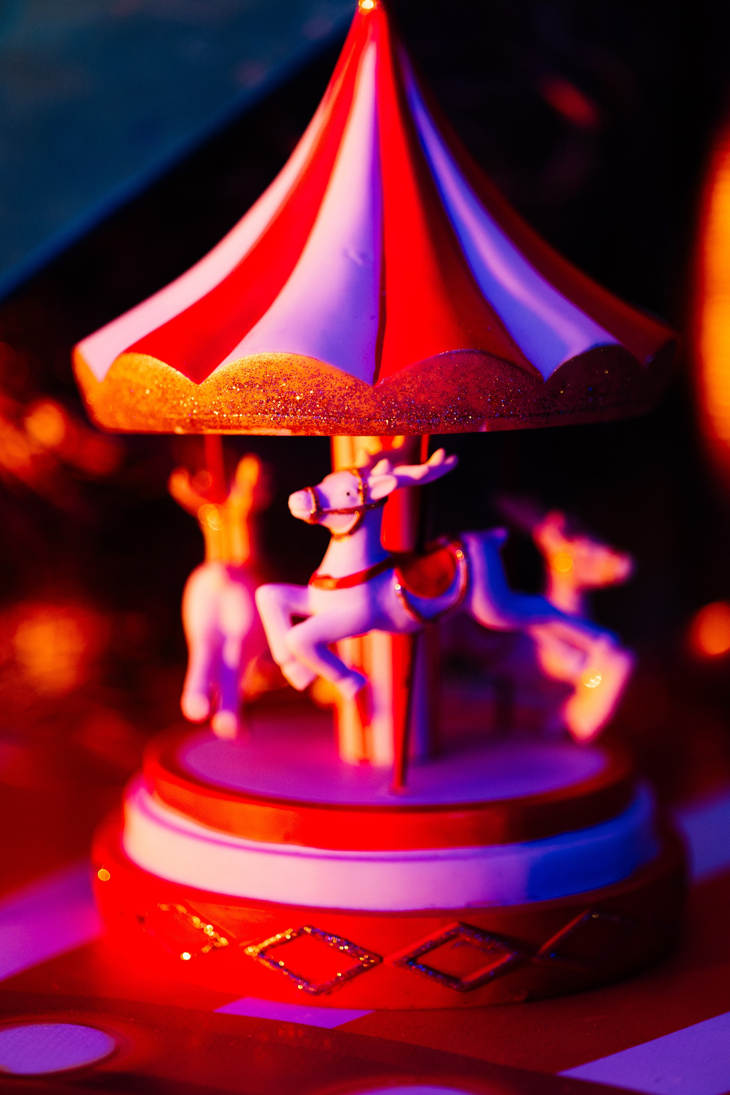 Корпоратив Цирк. Свадебный фотограф Минск РБ