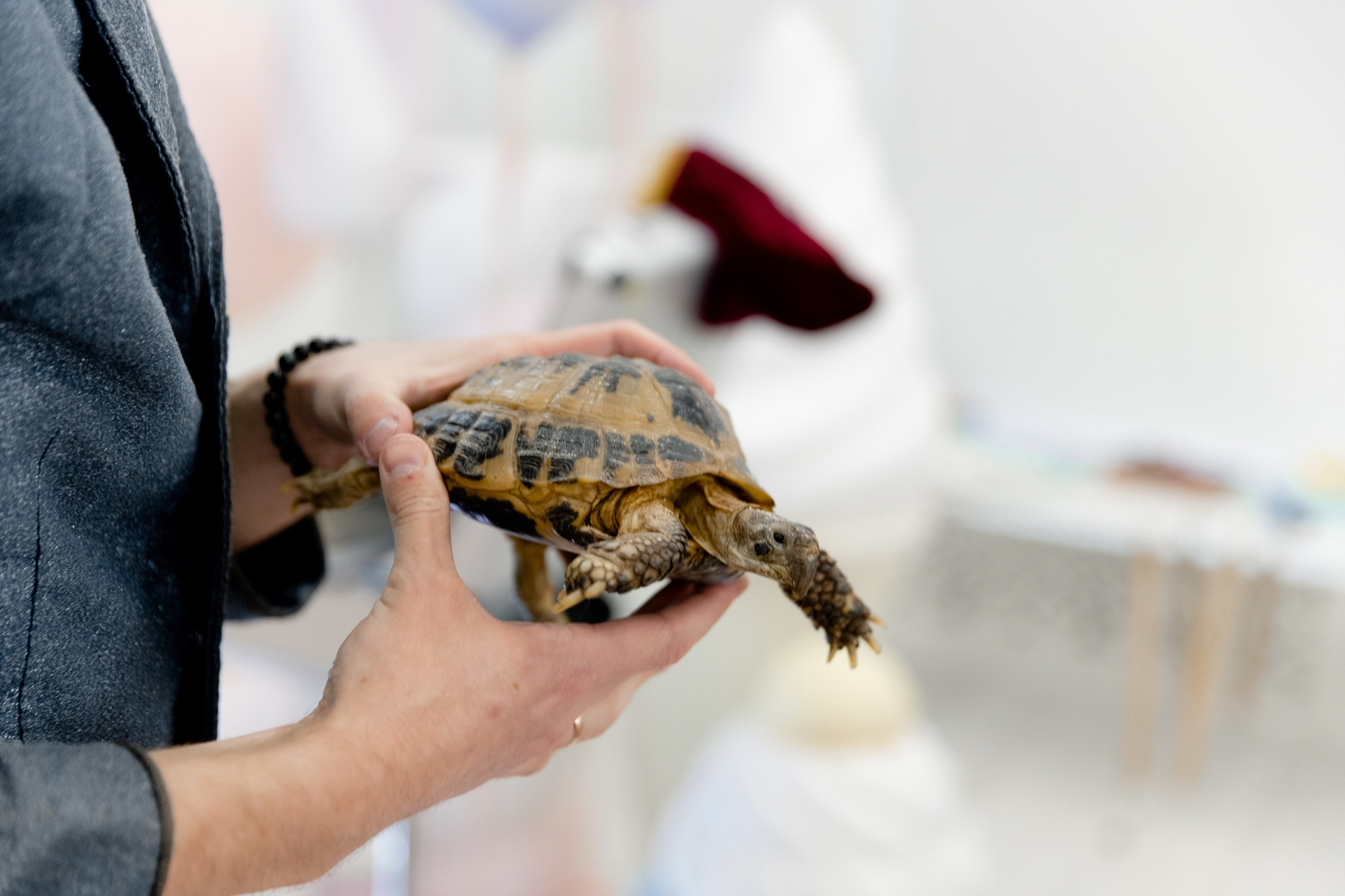 Стефания 2 года. Фотограф Роман Полянин