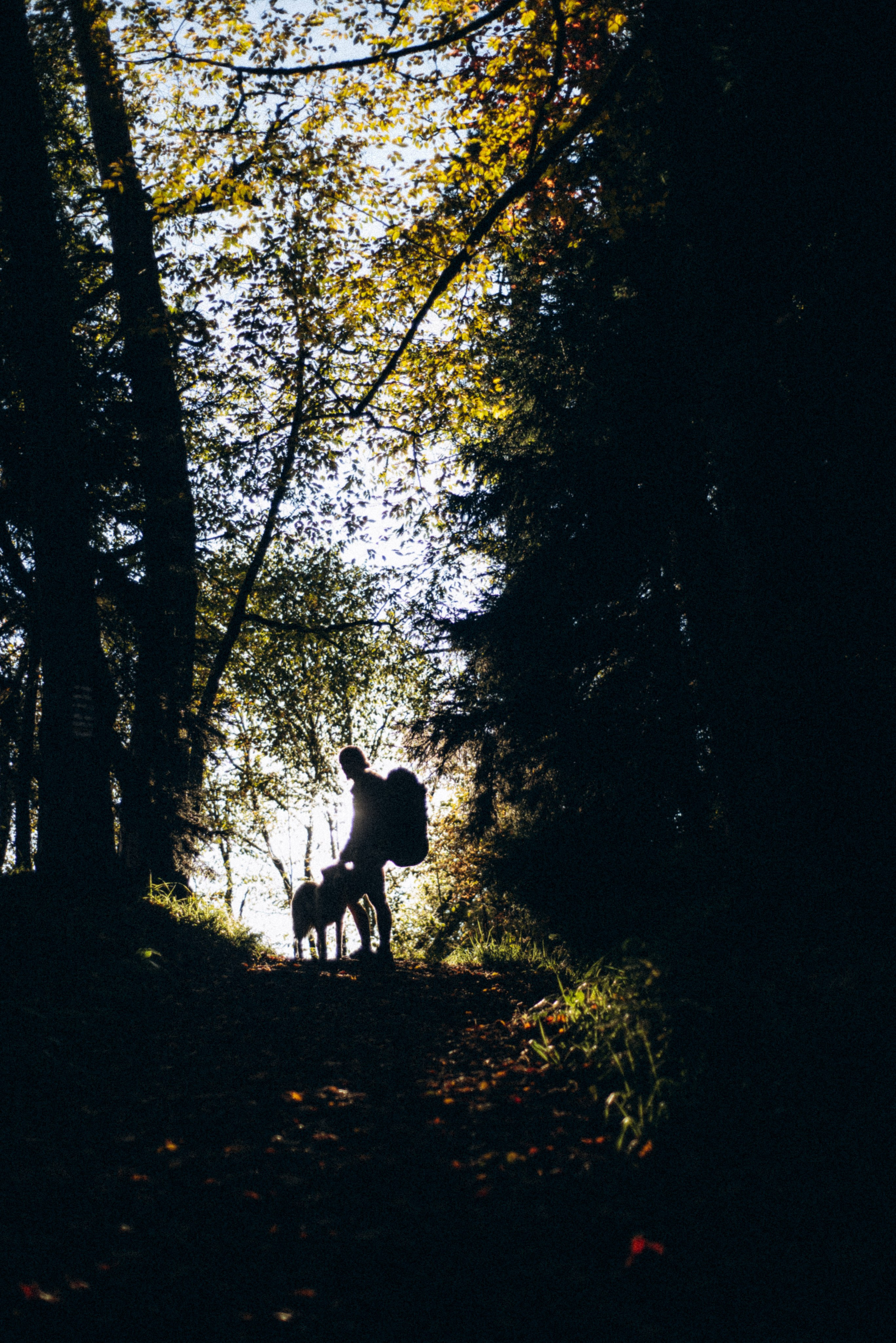 Боржоми, Грузия 🇬🇪. Anita_photo