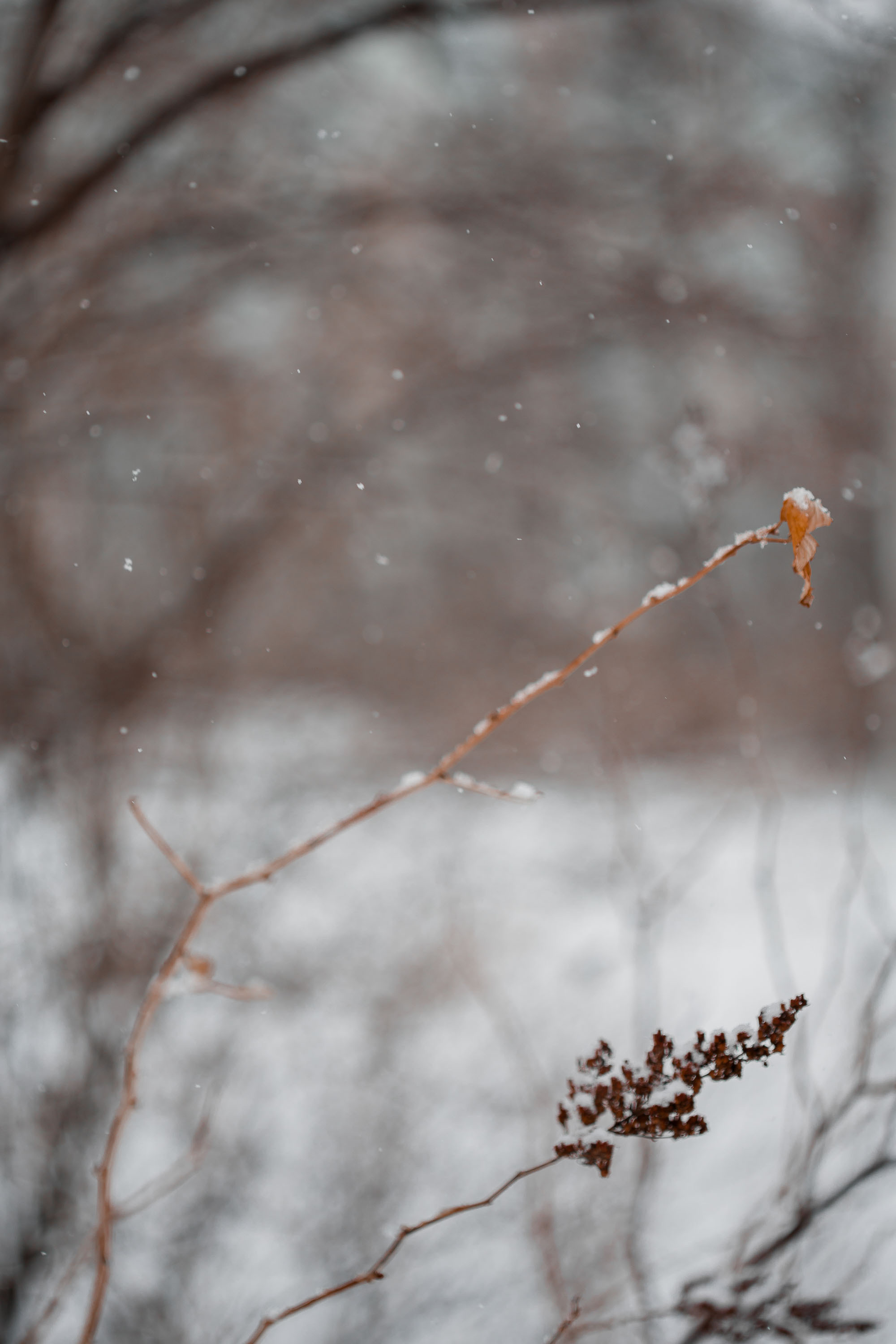 Снежный март 2022. Контент-фотограф в Нижнем Новгороде Антошина Ольга
