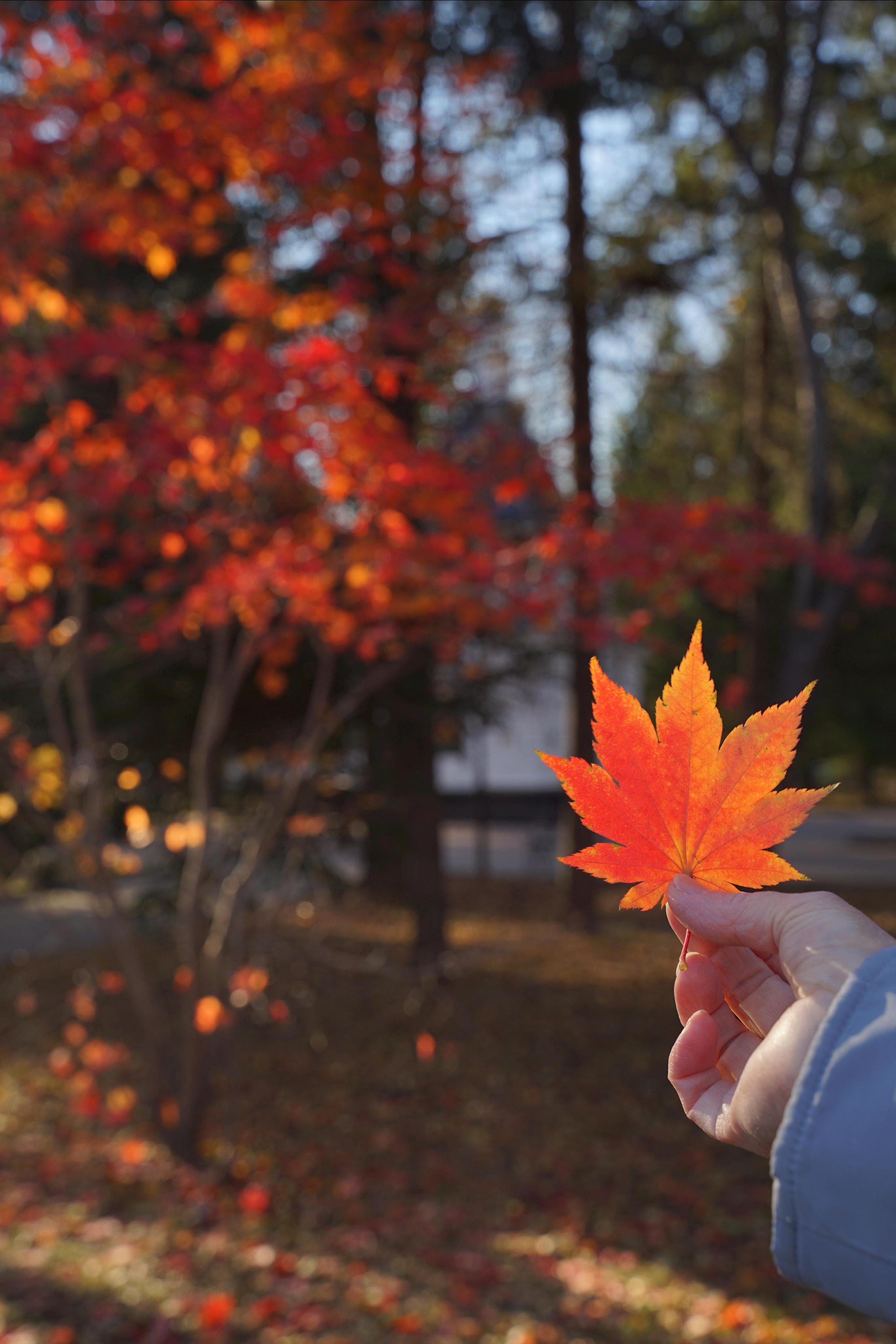 Контент-фотограф в Нижнем Новгороде Антошина Ольга