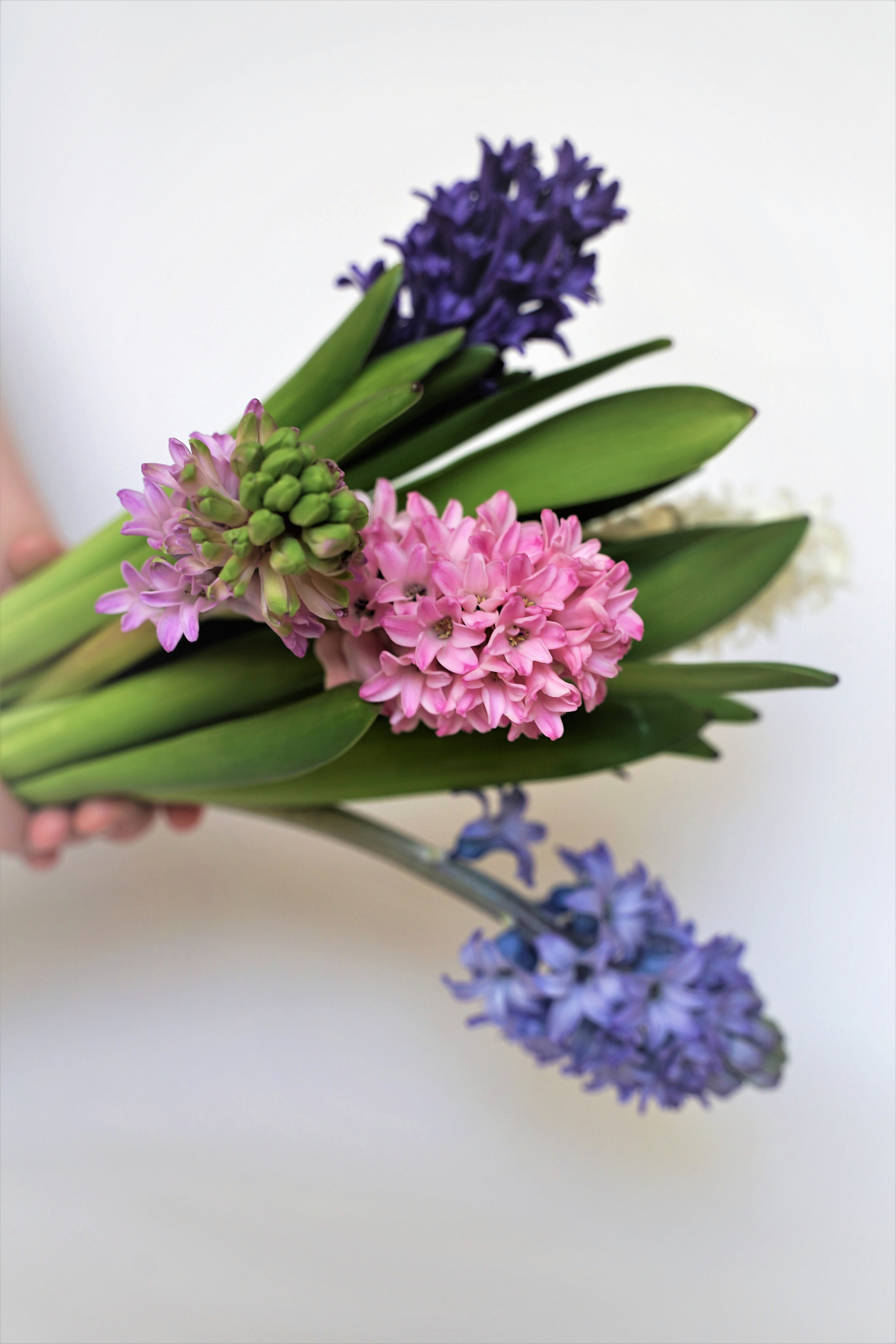 Контент-фотограф в Нижнем Новгороде Антошина Ольга