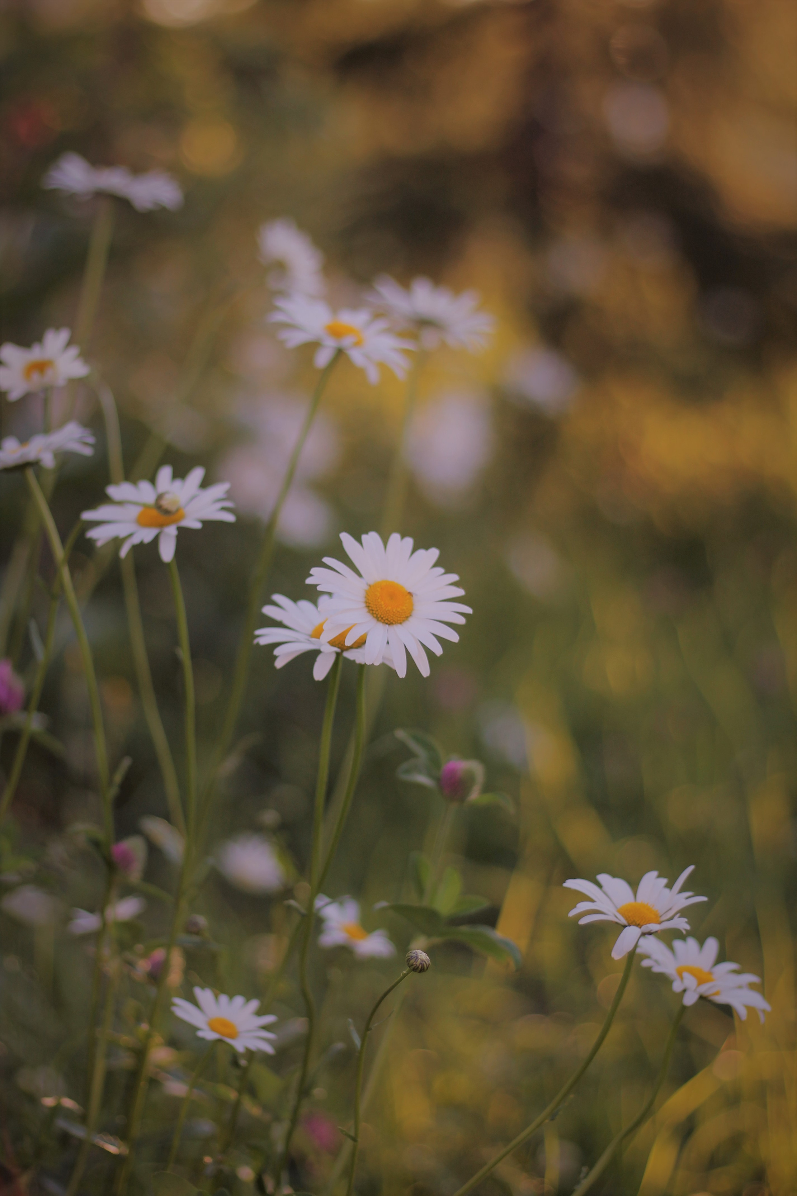 Контент-фотограф в Нижнем Новгороде Антошина Ольга