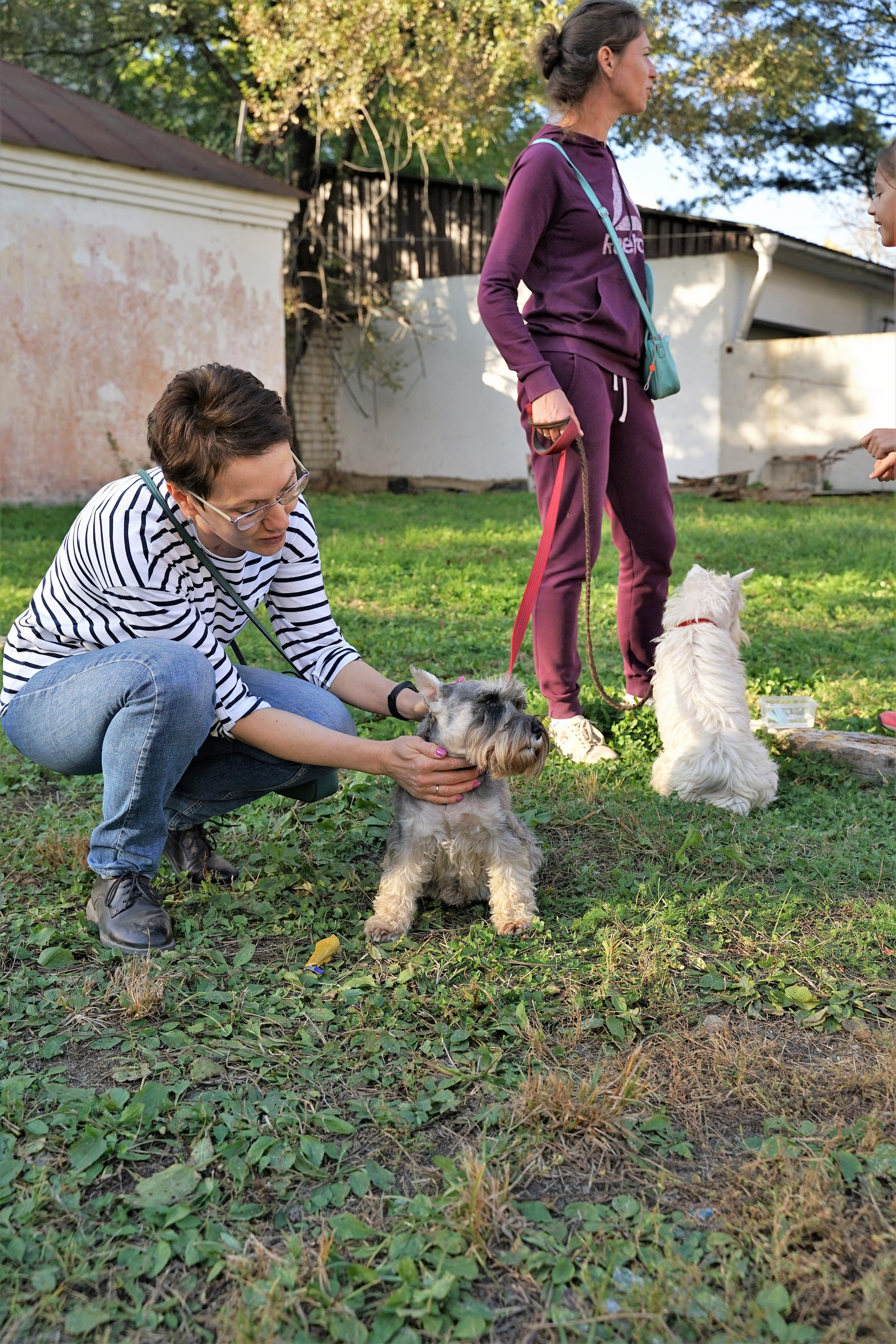 Соревнования по аджилити 26 сент 2021. Контент-фотограф в Нижнем Новгороде Антошина Ольга