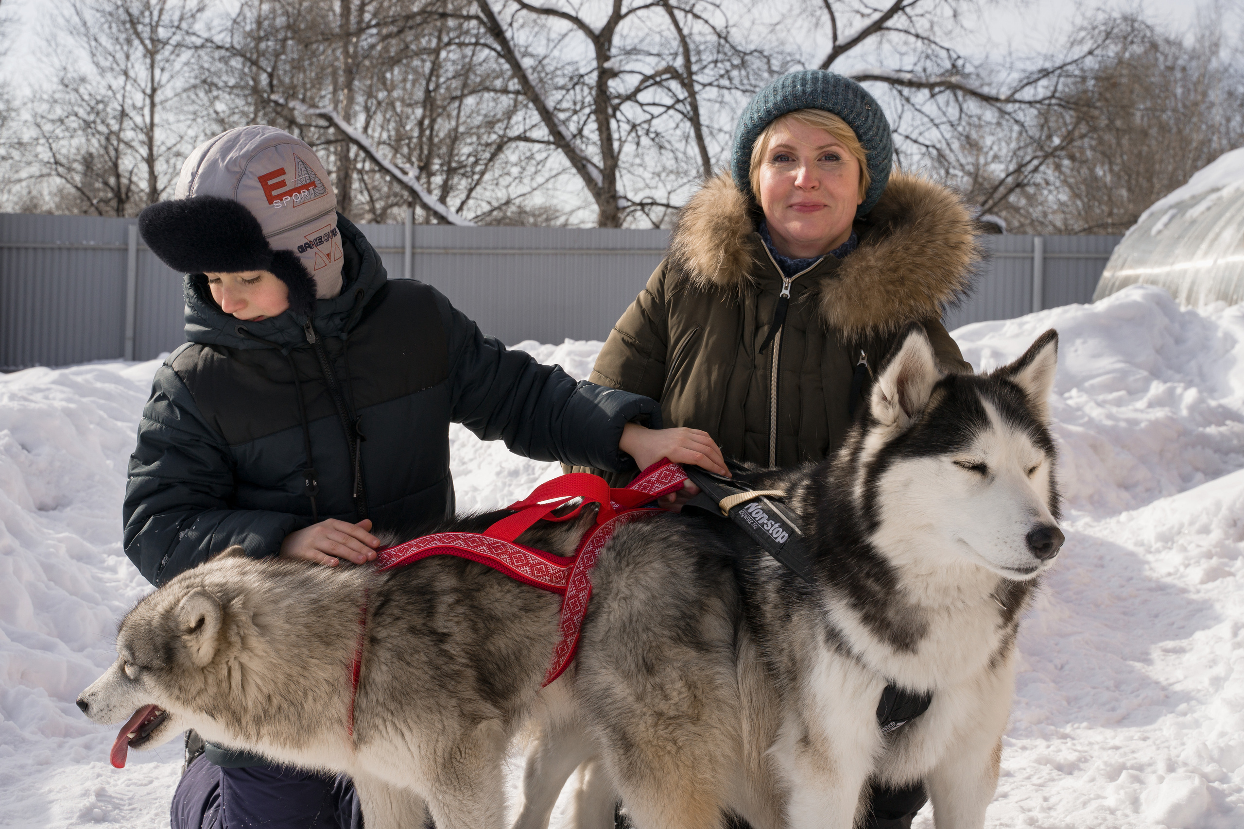 Деревня хаски. Контент-фотограф в Нижнем Новгороде Антошина Ольга