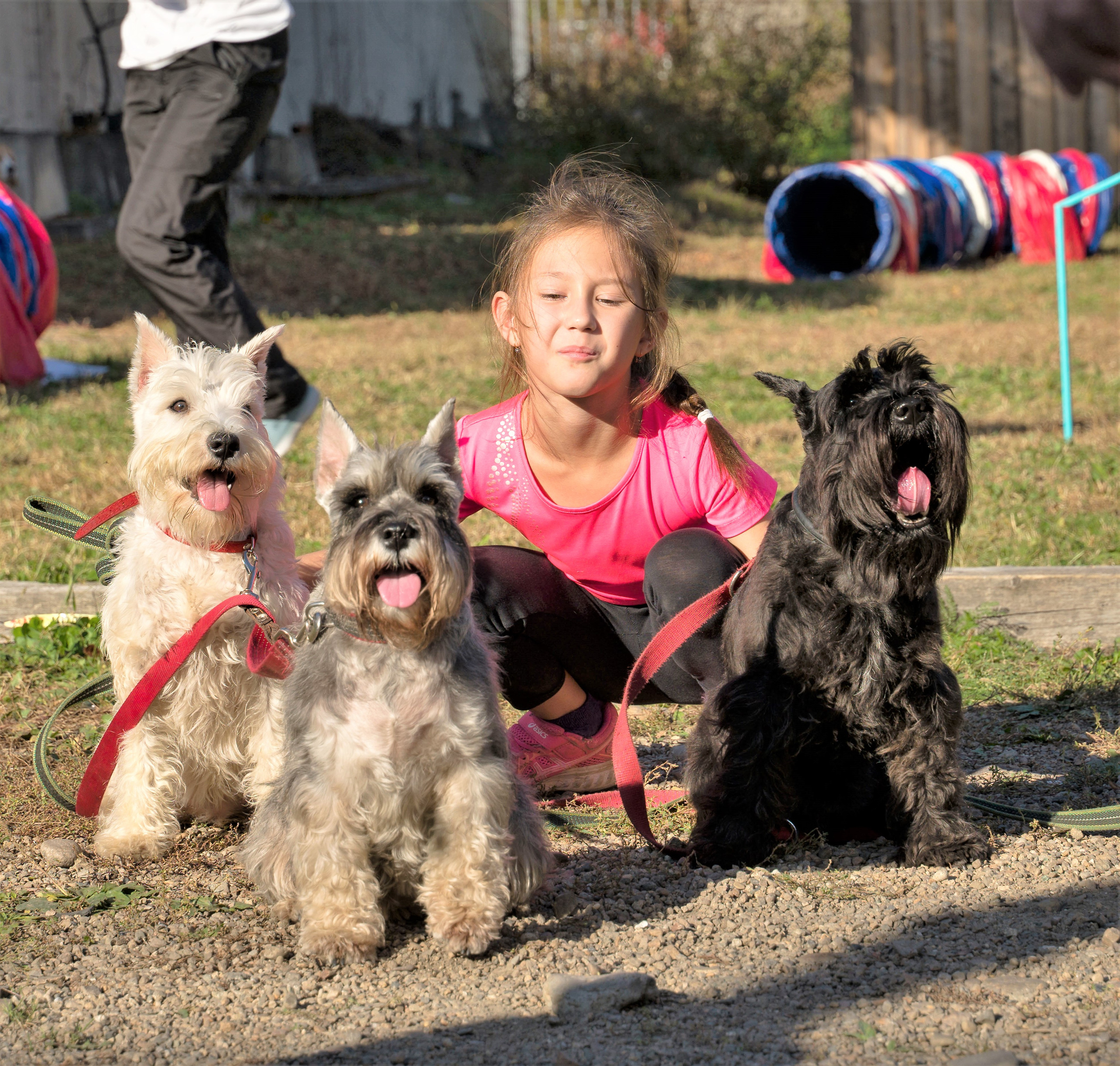 Соревнования по аджилити 26 сент 2021. Контент-фотограф в Нижнем Новгороде Антошина Ольга