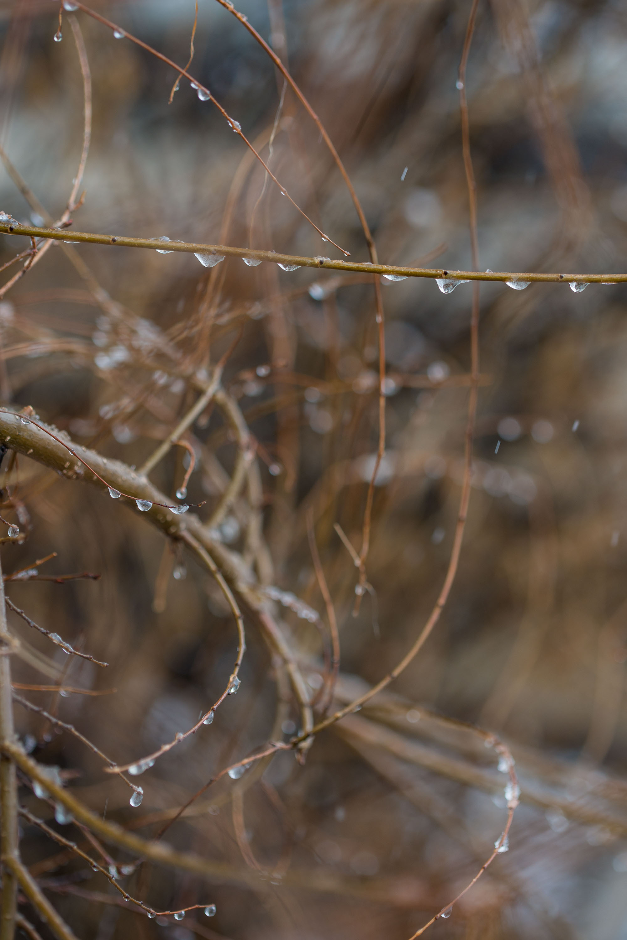 Снежный март 2022. Контент-фотограф в Нижнем Новгороде Антошина Ольга