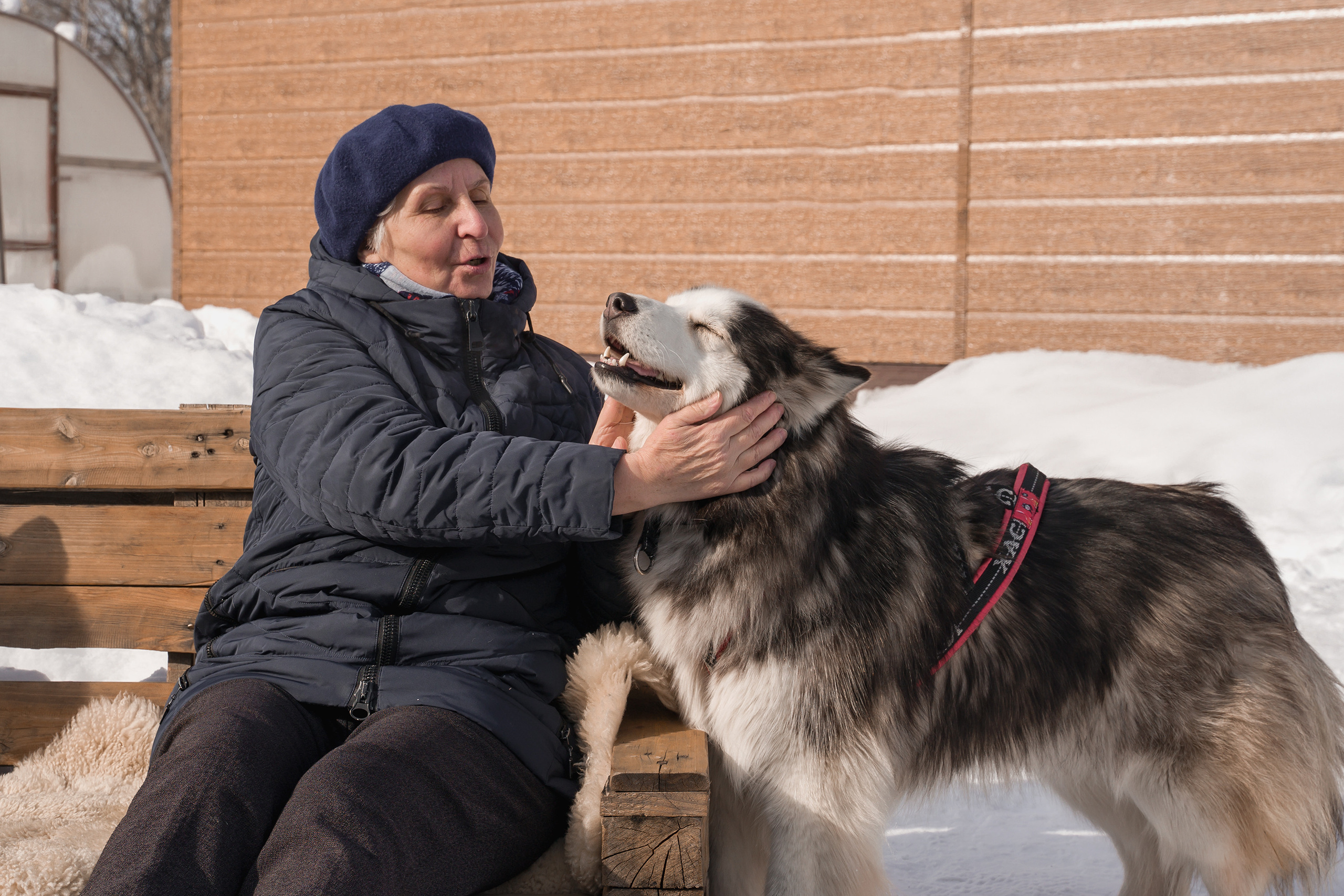 Деревня хаски. Контент-фотограф в Нижнем Новгороде Антошина Ольга