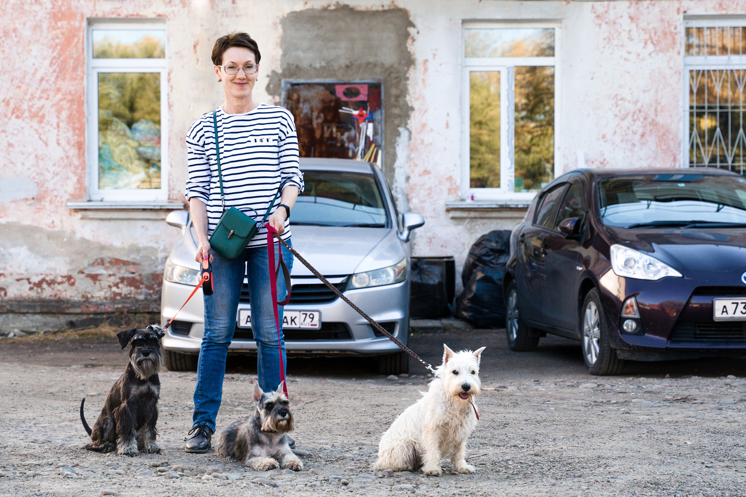 Соревнования по аджилити 26 сент 2021. Контент-фотограф в Нижнем Новгороде Антошина Ольга