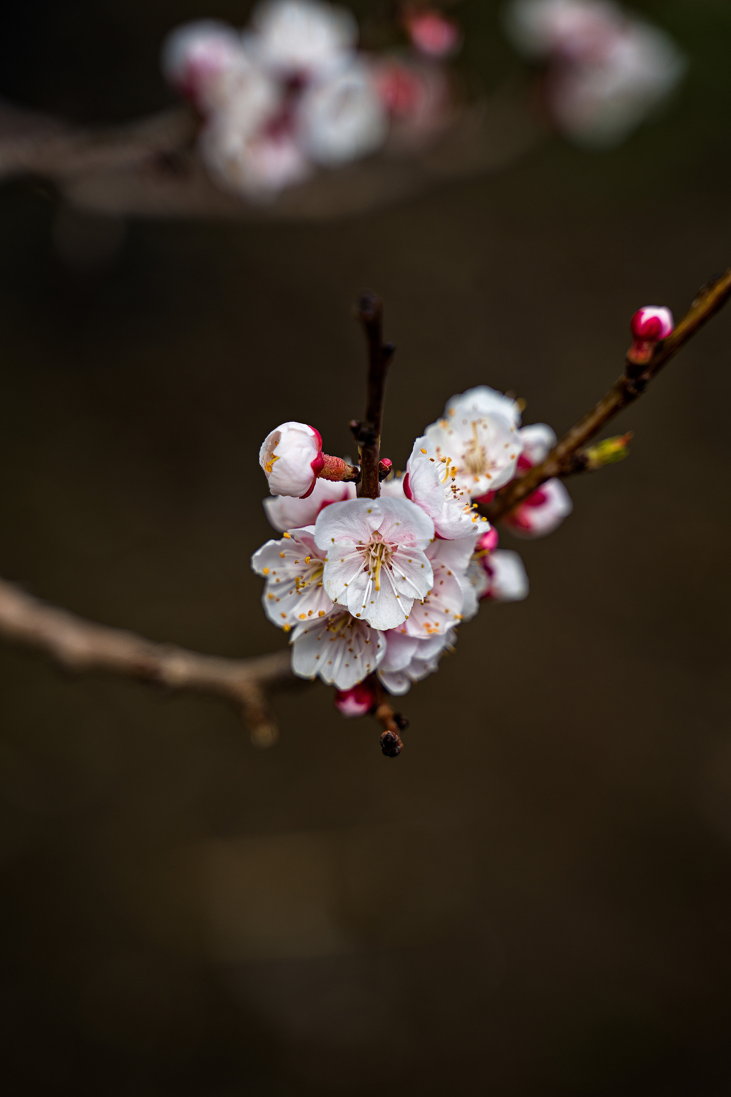Контент-фотограф в Нижнем Новгороде Антошина Ольга
