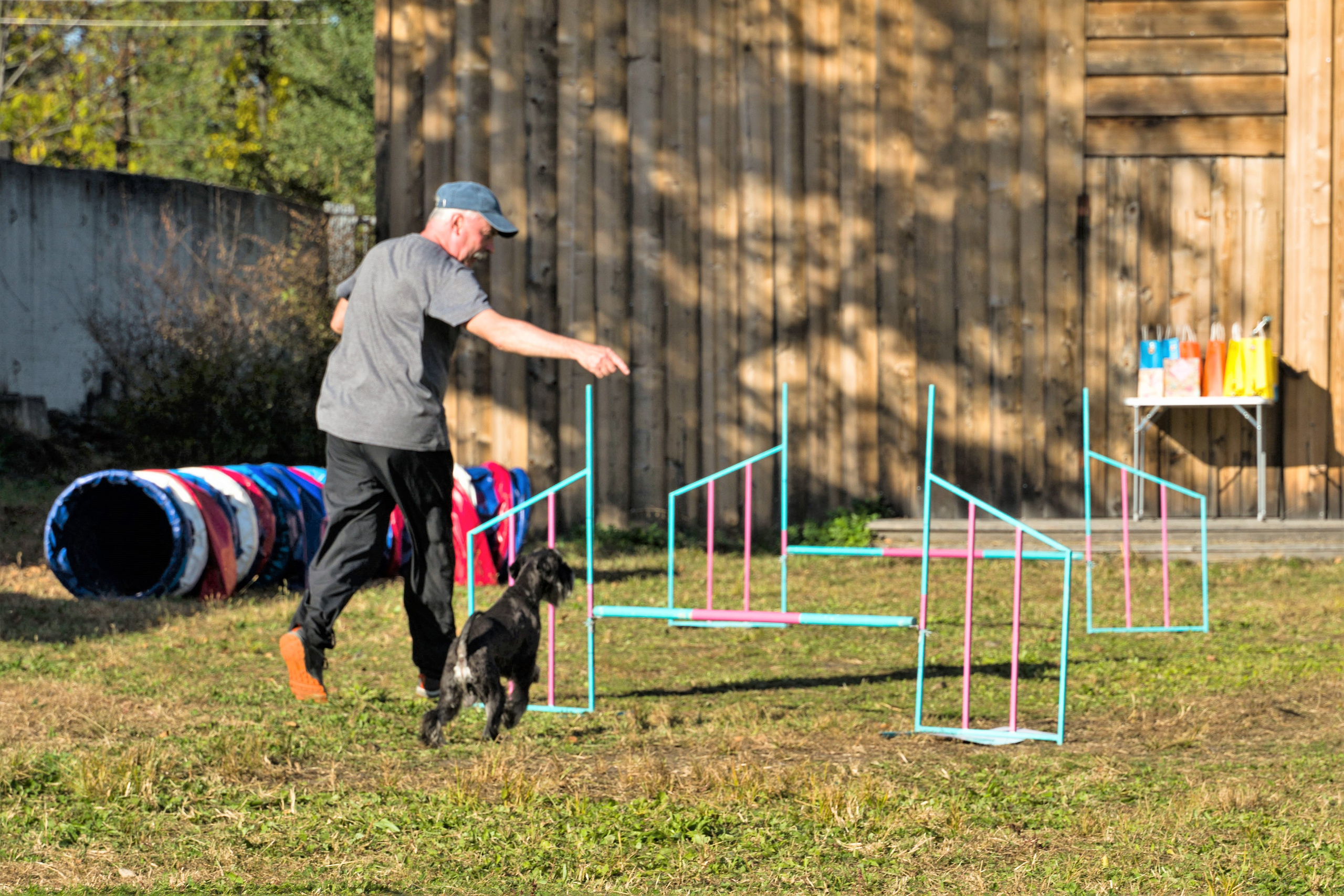 Соревнования по аджилити 26 сент 2021. Контент-фотограф в Нижнем Новгороде Антошина Ольга