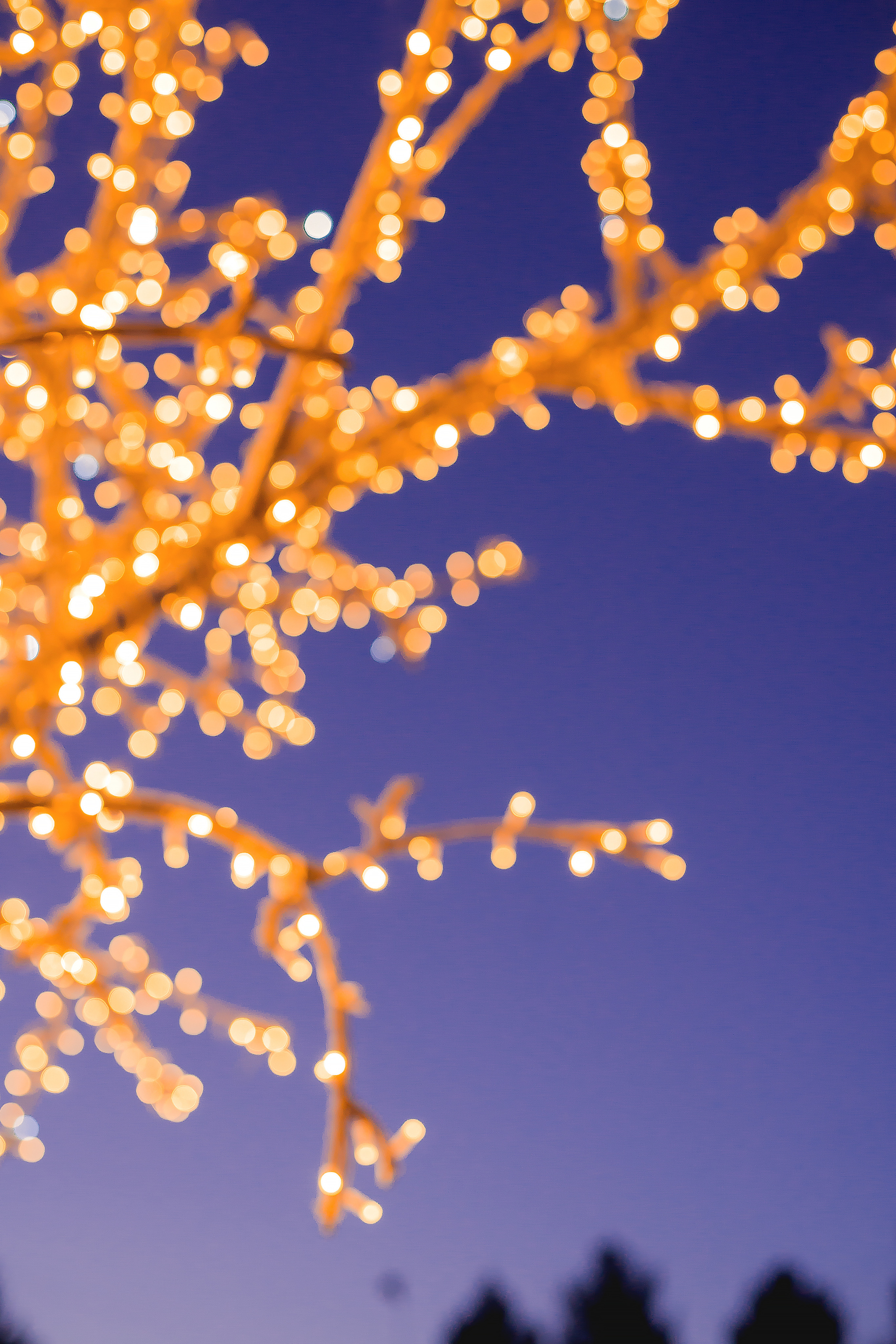 София и Оксана. Контент-фотограф в Нижнем Новгороде Антошина Ольга