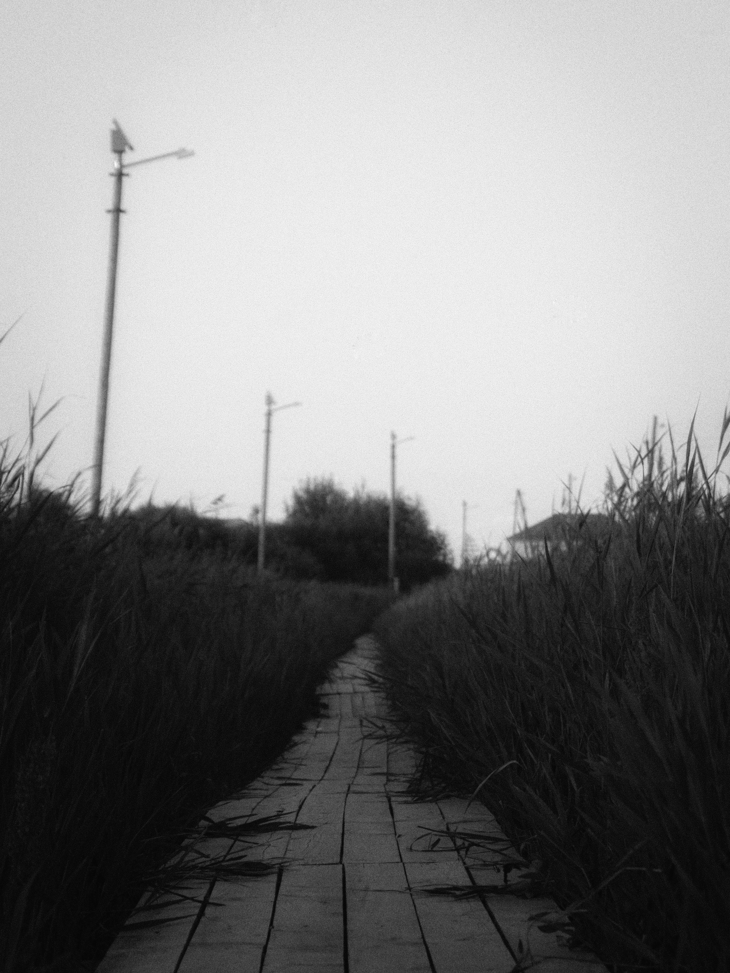 Внутривенные сны (2018-2023)