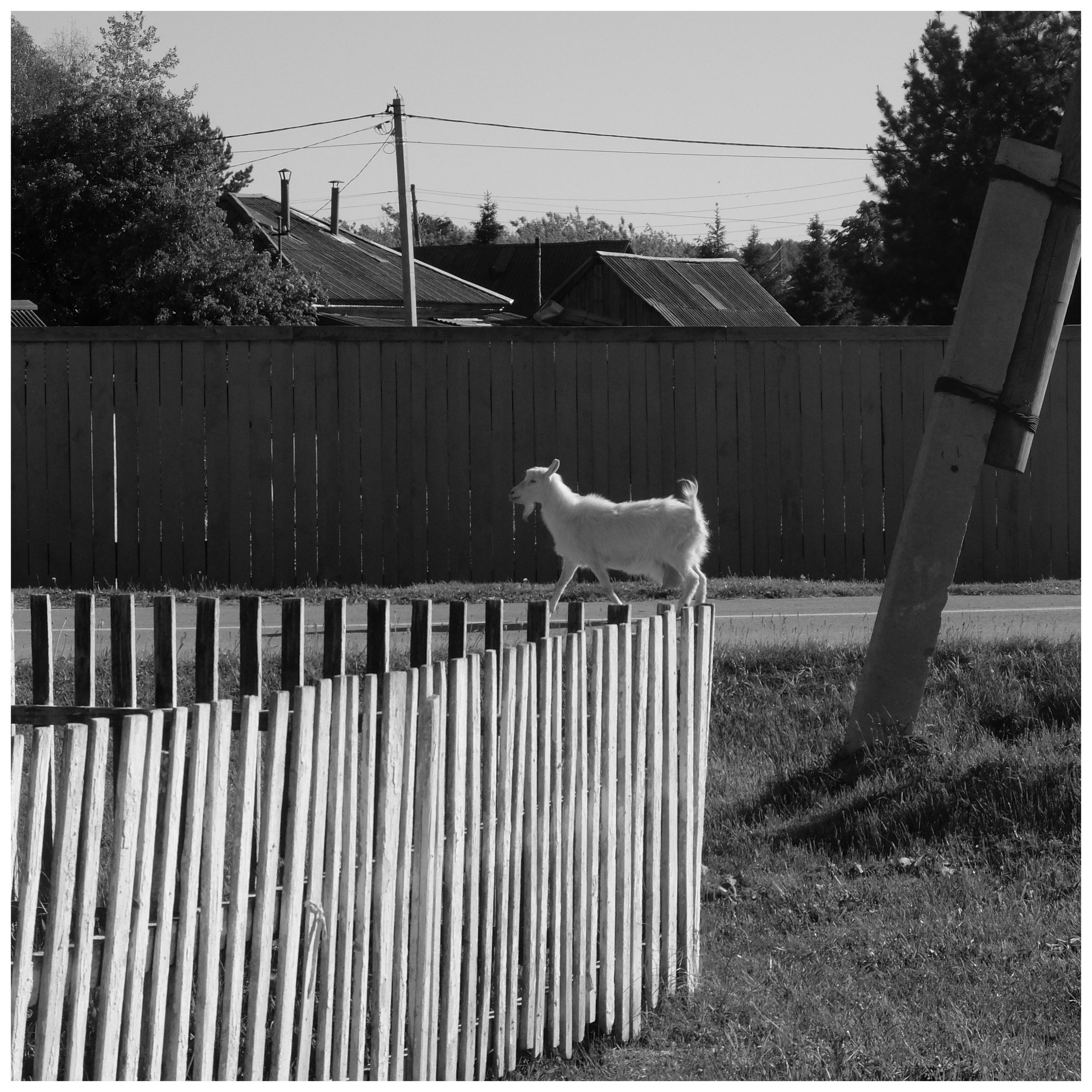 Промежуточные моменты (2022)