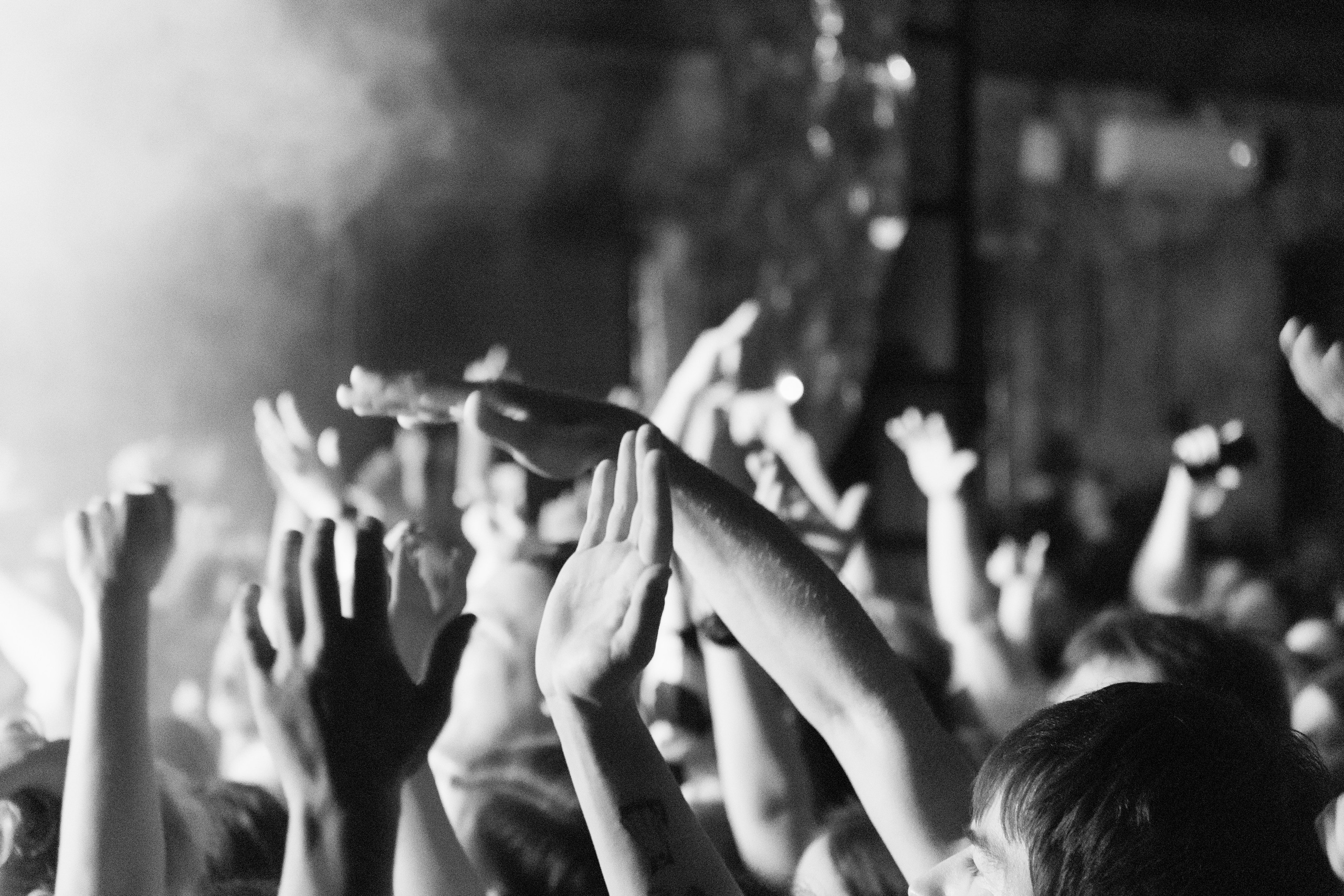 Хаски — Смоленск 23.05.2025. KiPPER Gallery — Фотограф