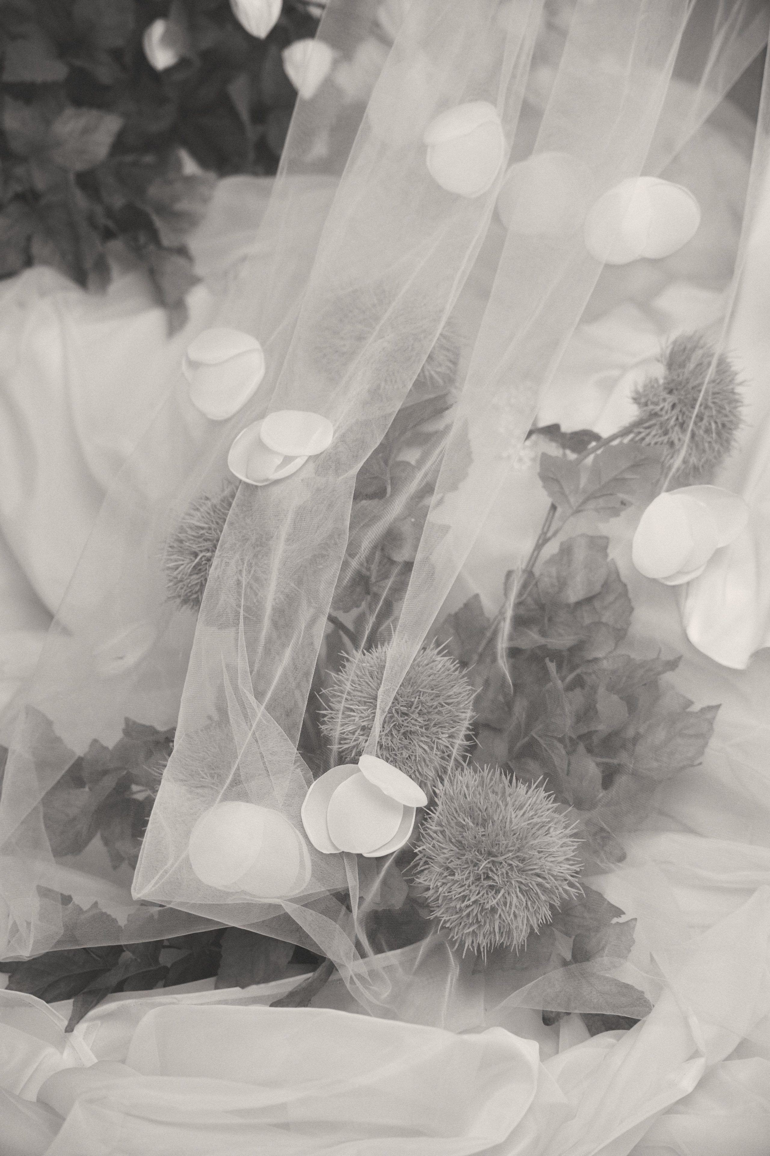 Алина и Джамбулат. Свадебный фотограф в Майкопе