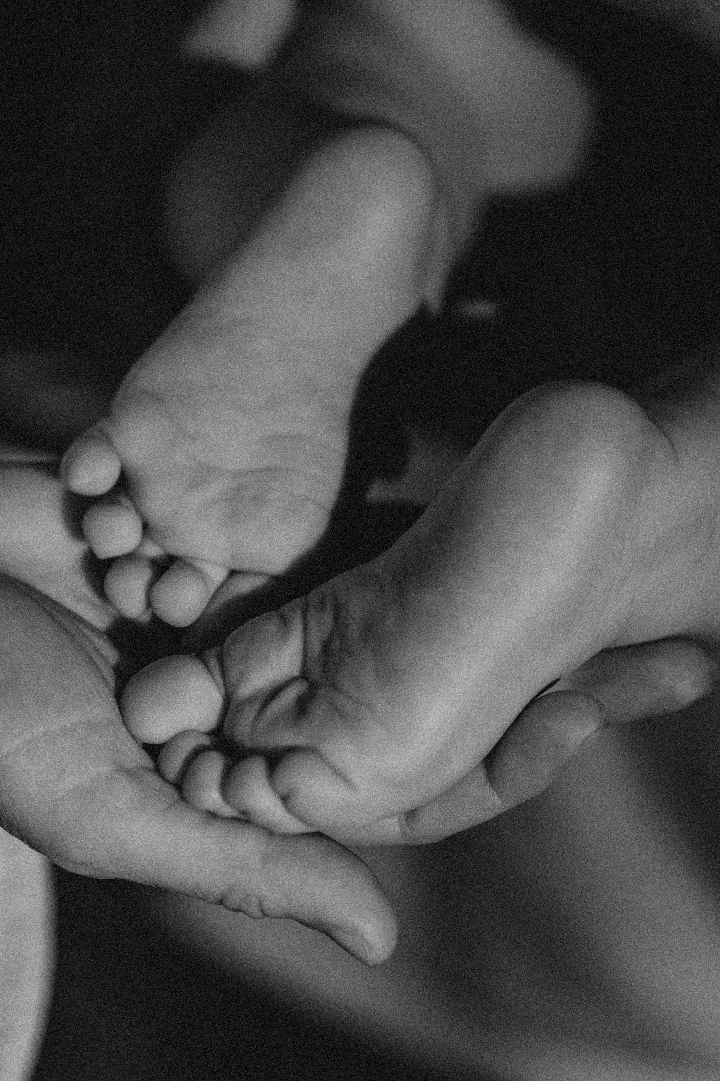 В Ботаническом саду. Кристина Ветрова | ФОТОГРАФ | Москва