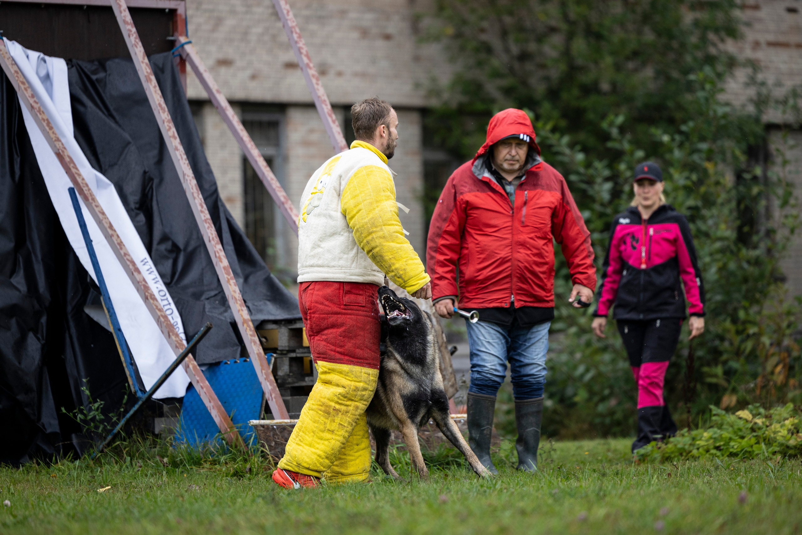 Испытания по Мондьорингу г. Пушкин. Фотограф-анималист Анна Маринич