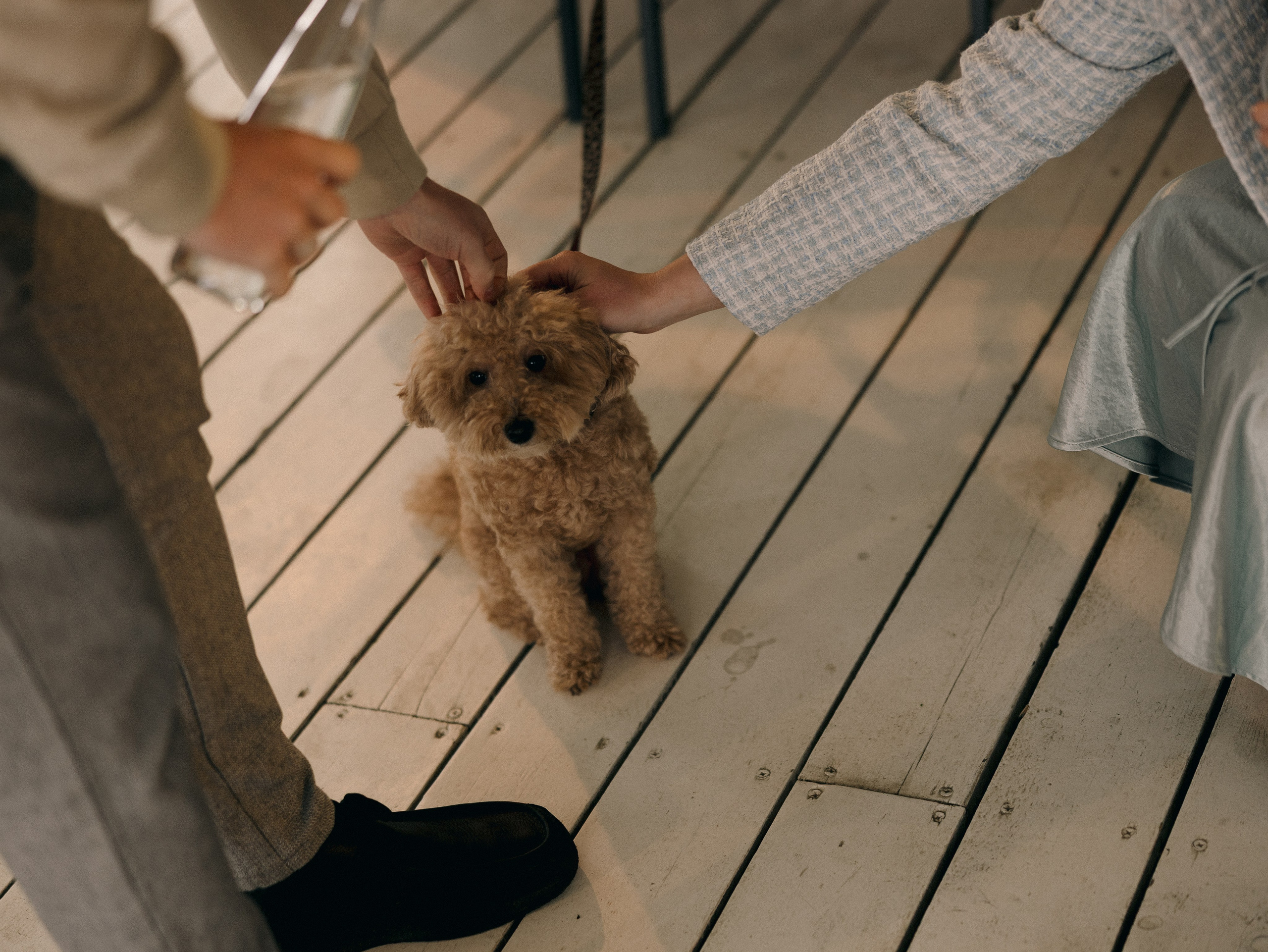 «слава богу это не навсегда». Фотограф Санкт-Петербург