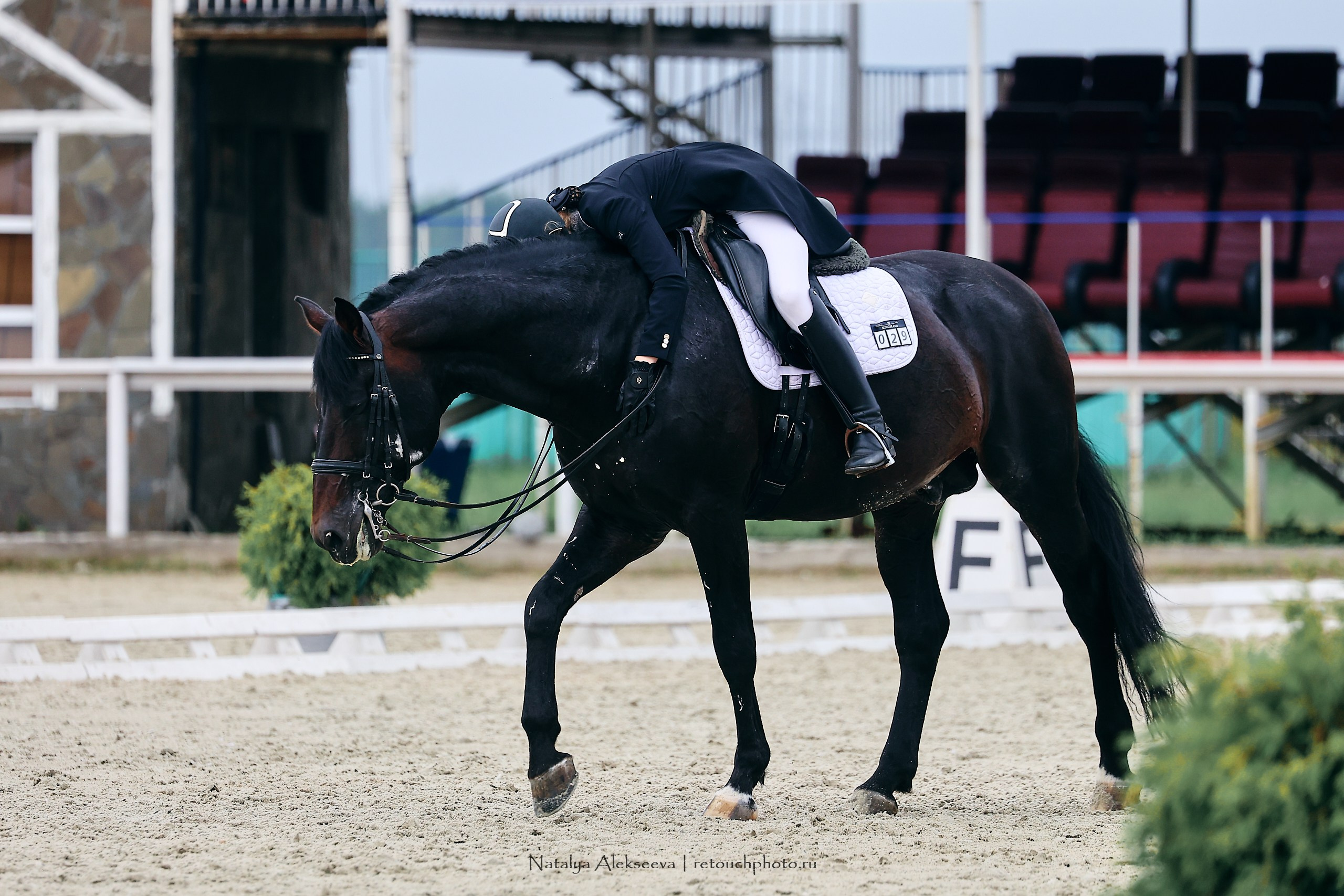 Личный ЧР по выездке, КСК Конаковские конюшни | 08'2023. Репортажный фотограф и ретушер в Москве Наталья Алексеева