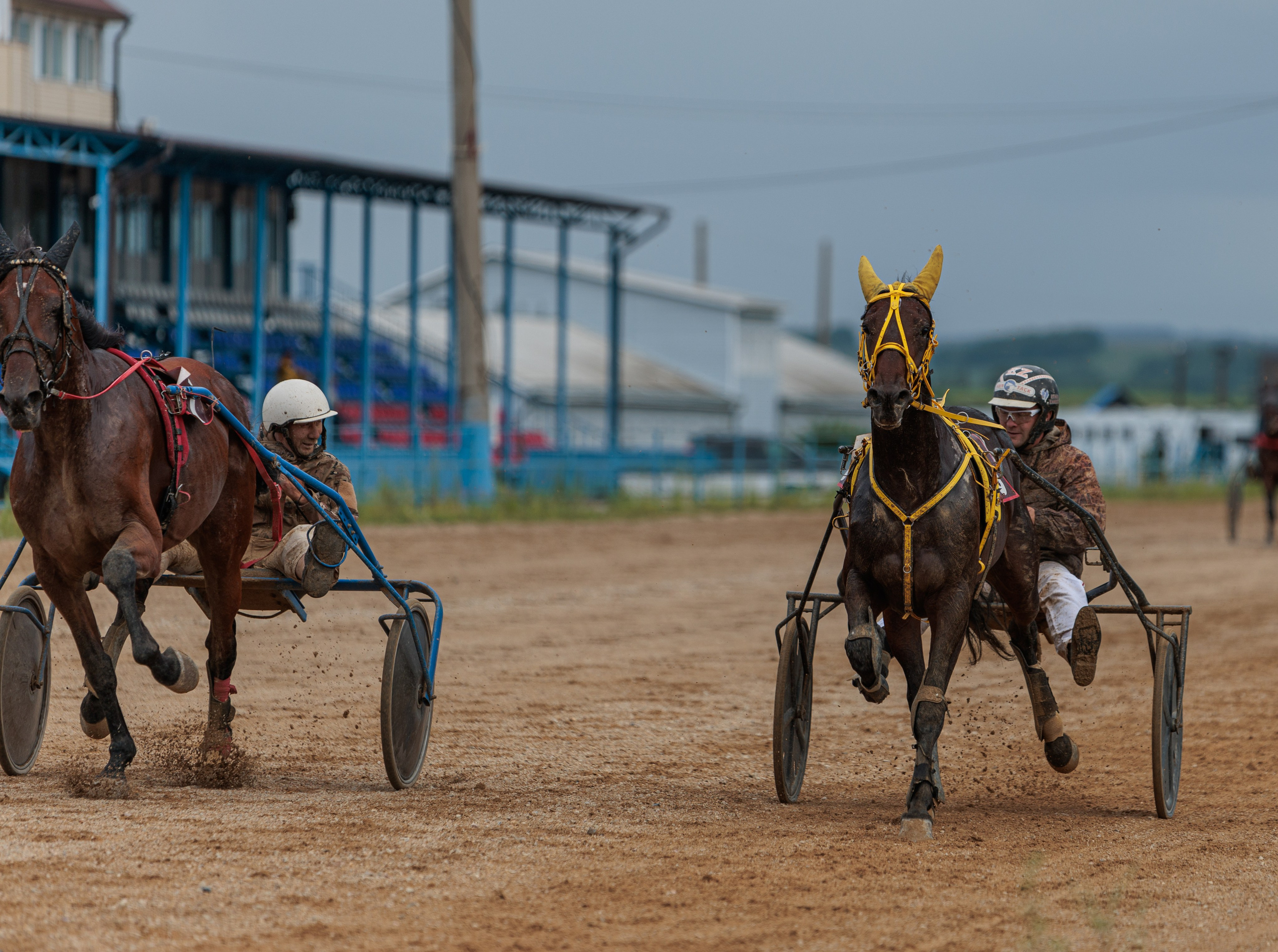 2025. Конный фотограф в Красноярске — Любовь Похабова