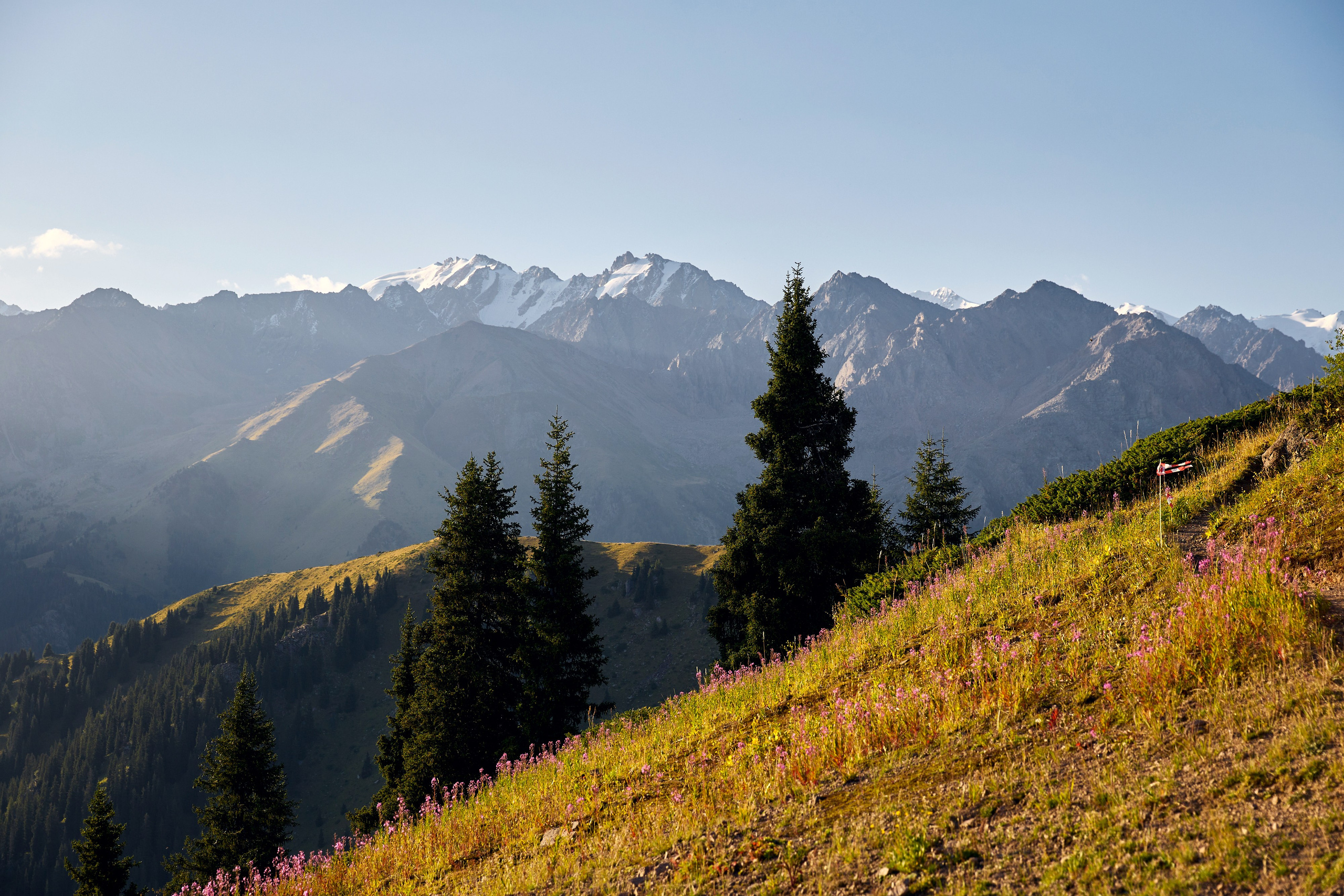 Irbis Race 2022, 2023. Спортивный/коммерческий фотограф/видеограф
