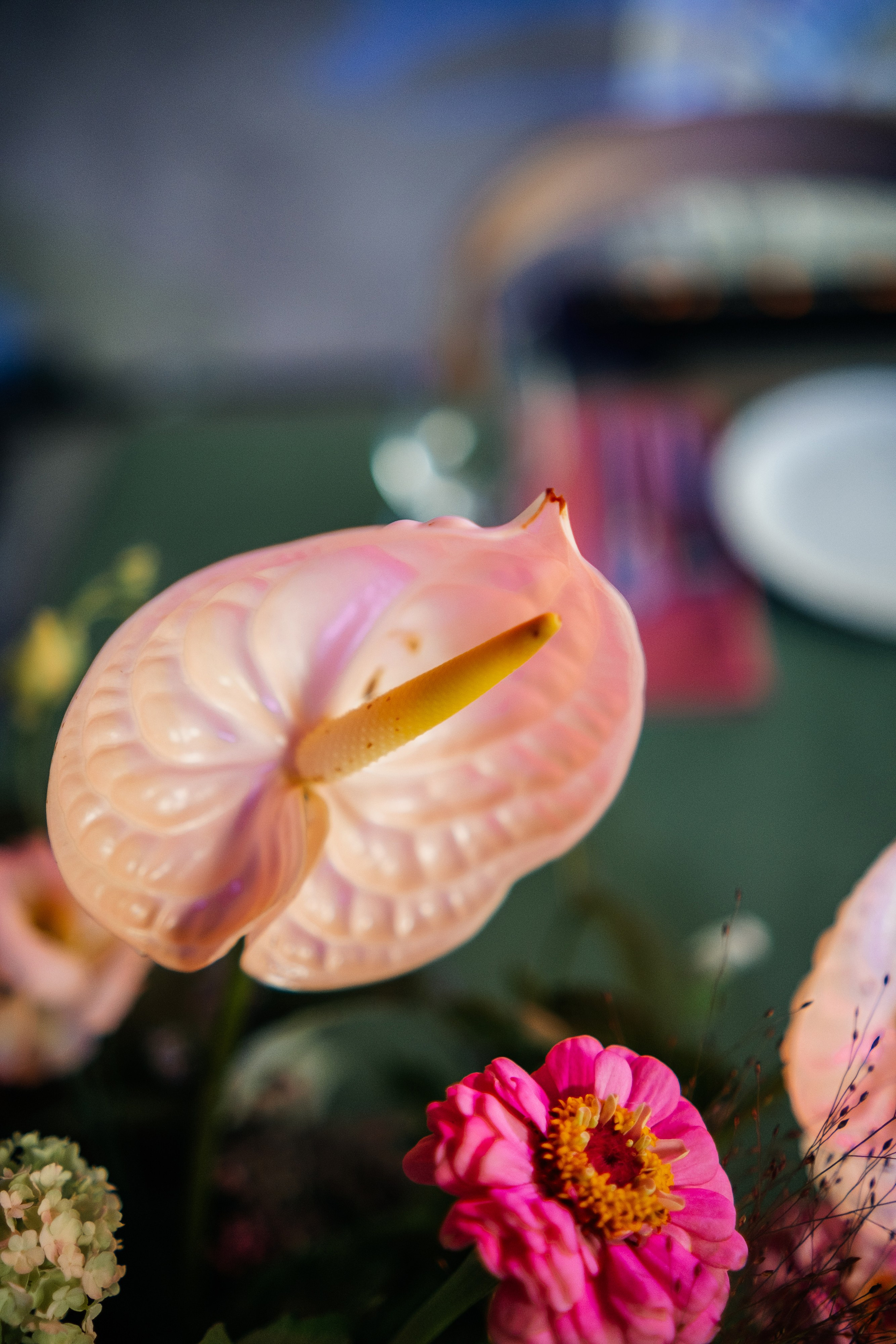 Михаил и Ксения. Организатор свадеб Барнаул/Алтай/Дагестан