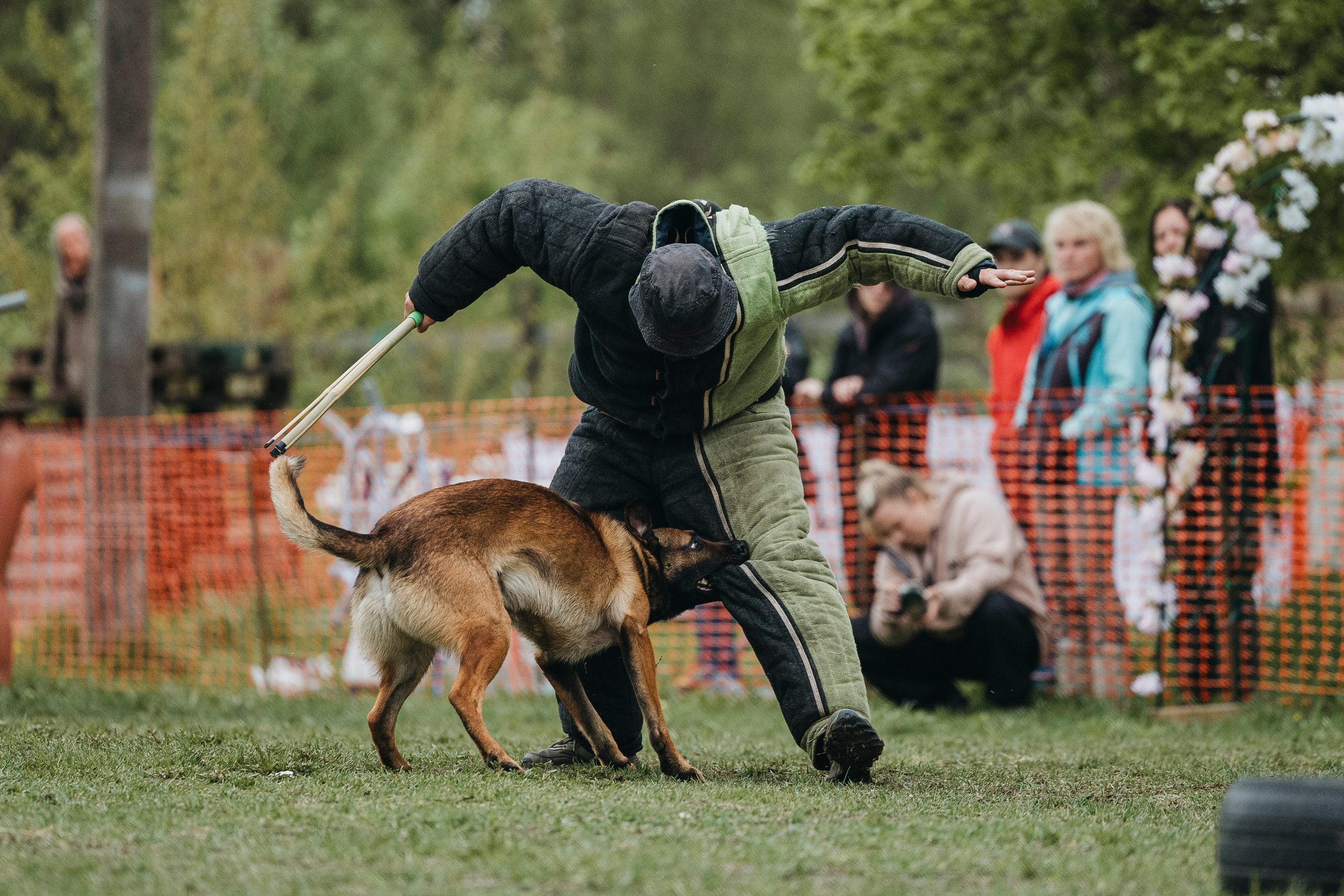 26.05.25 г. Пушкин квалификационные соревнования. Фотограф-анималист Анна Маринич