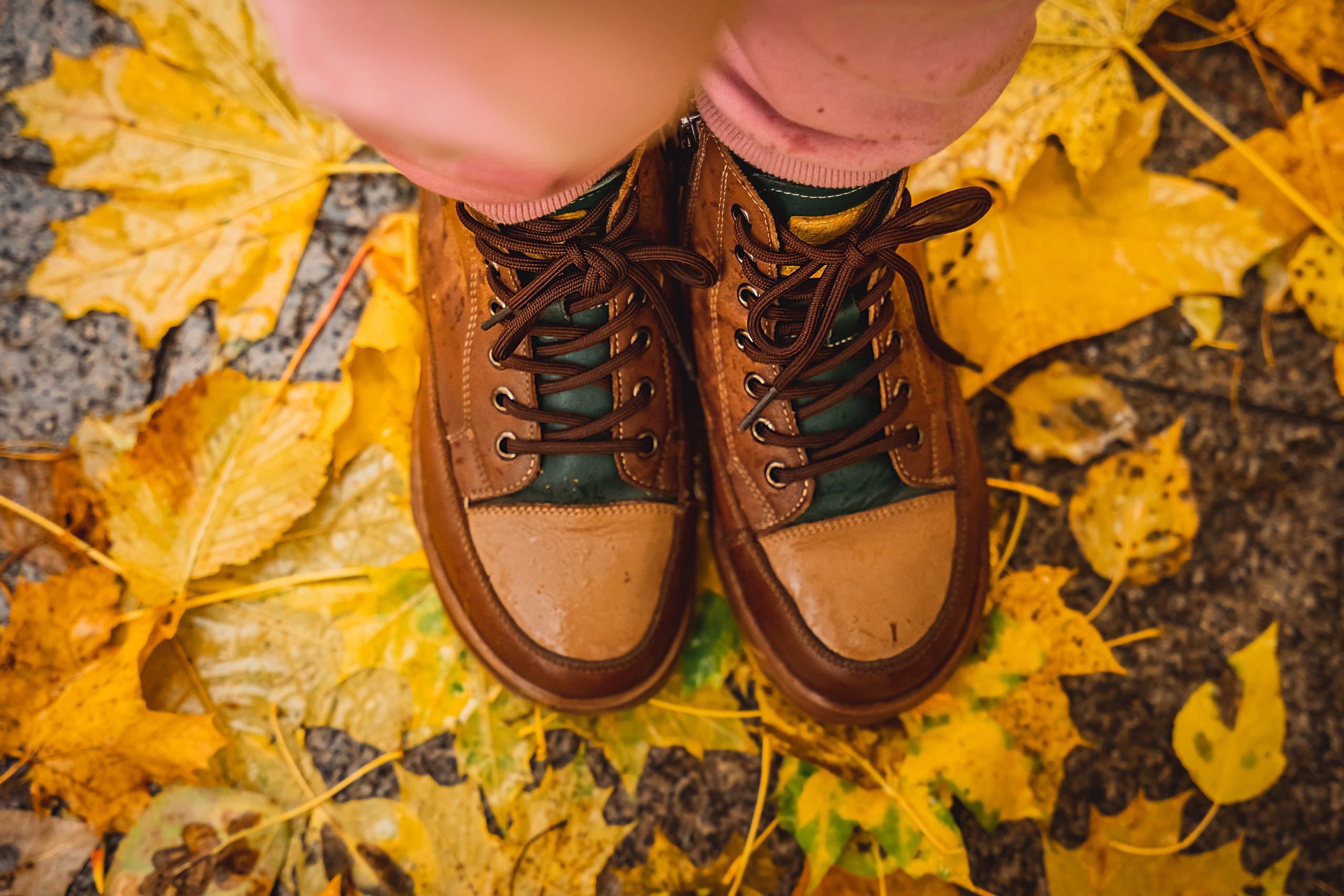 Осень. Фотограф Валентина Полунина