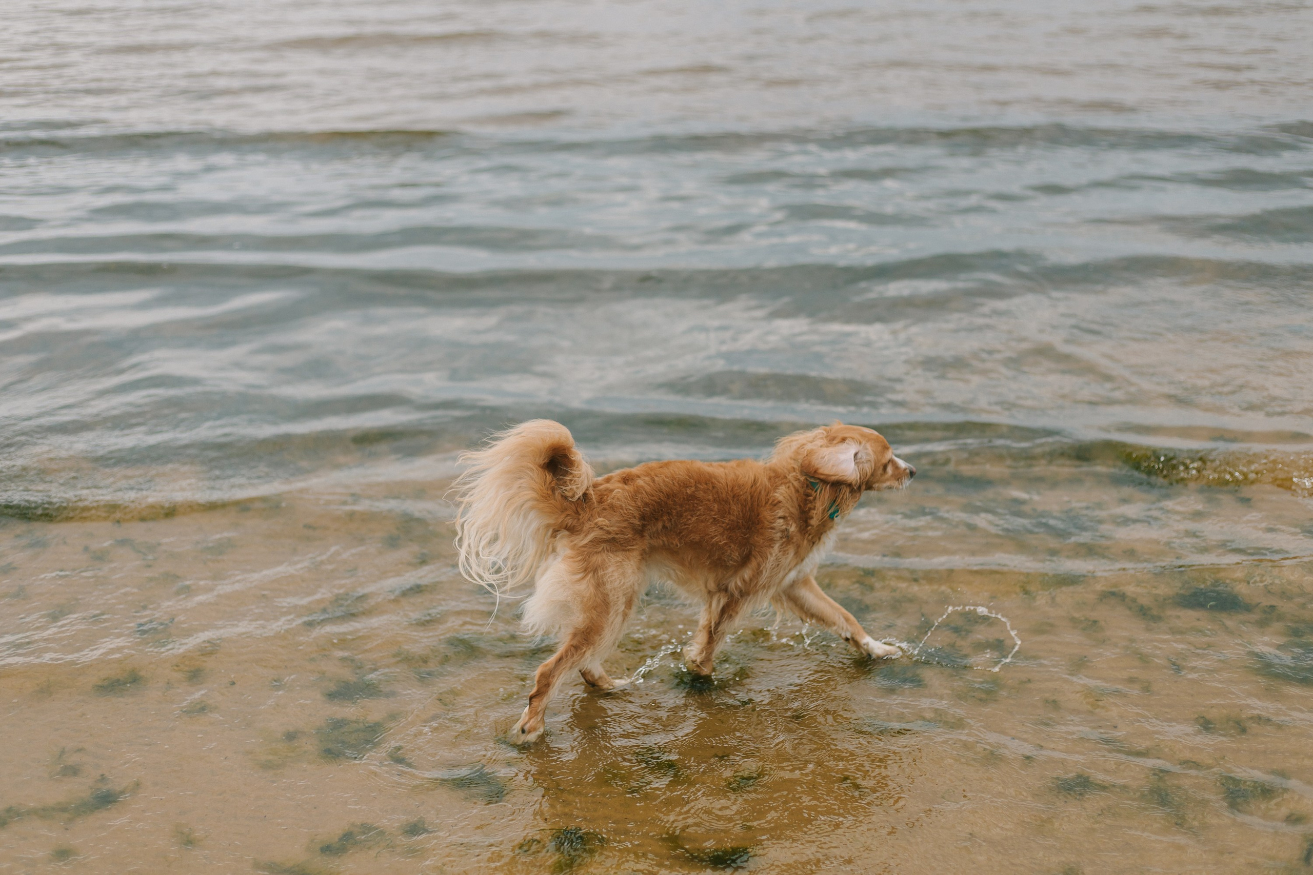Фотосессия Марии. Портретный фотограф в Санкт-Петербурге Катя Протасевич
