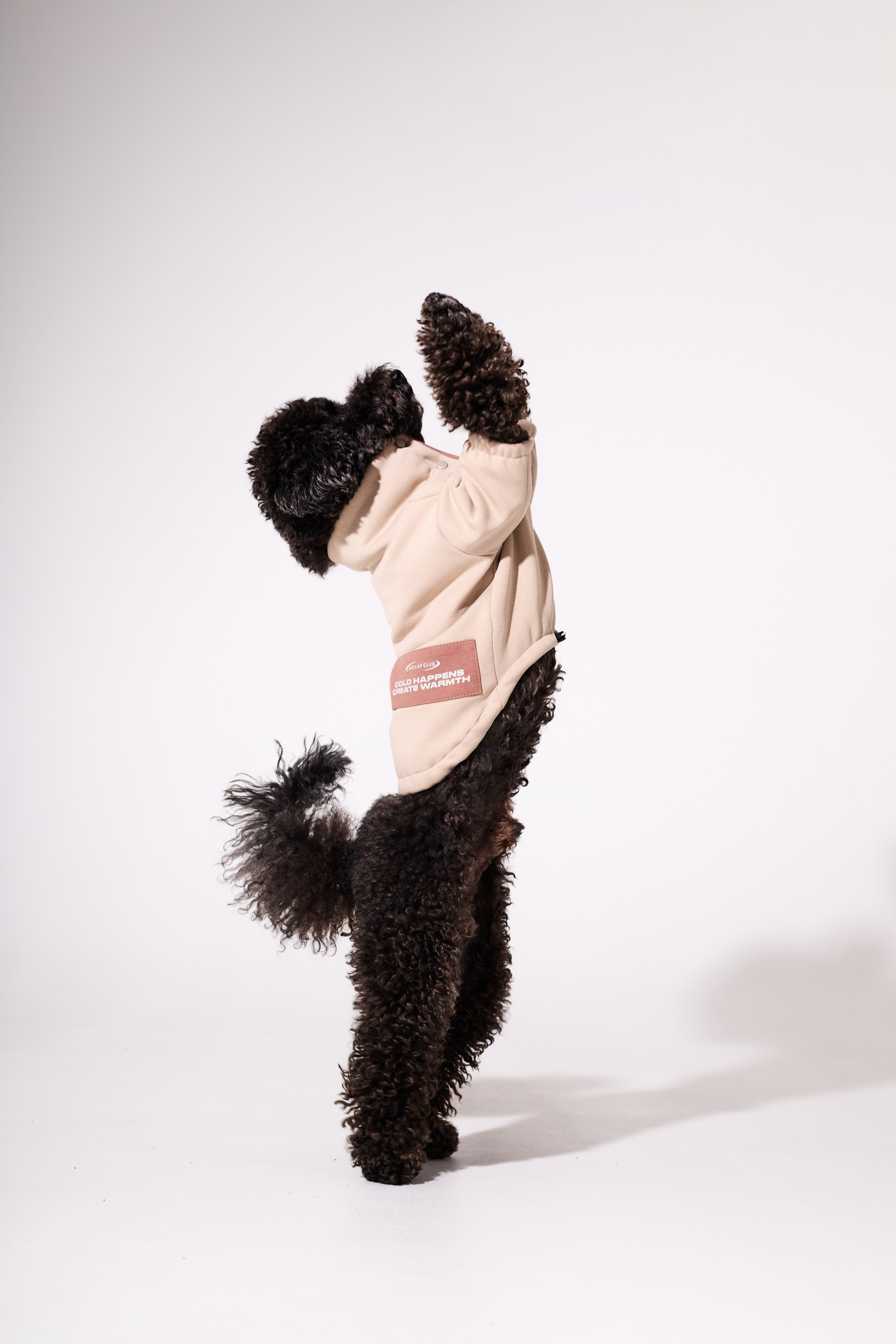 Big Lap Club. Фотограф|Москва-СПб| Анастасия Рябинина