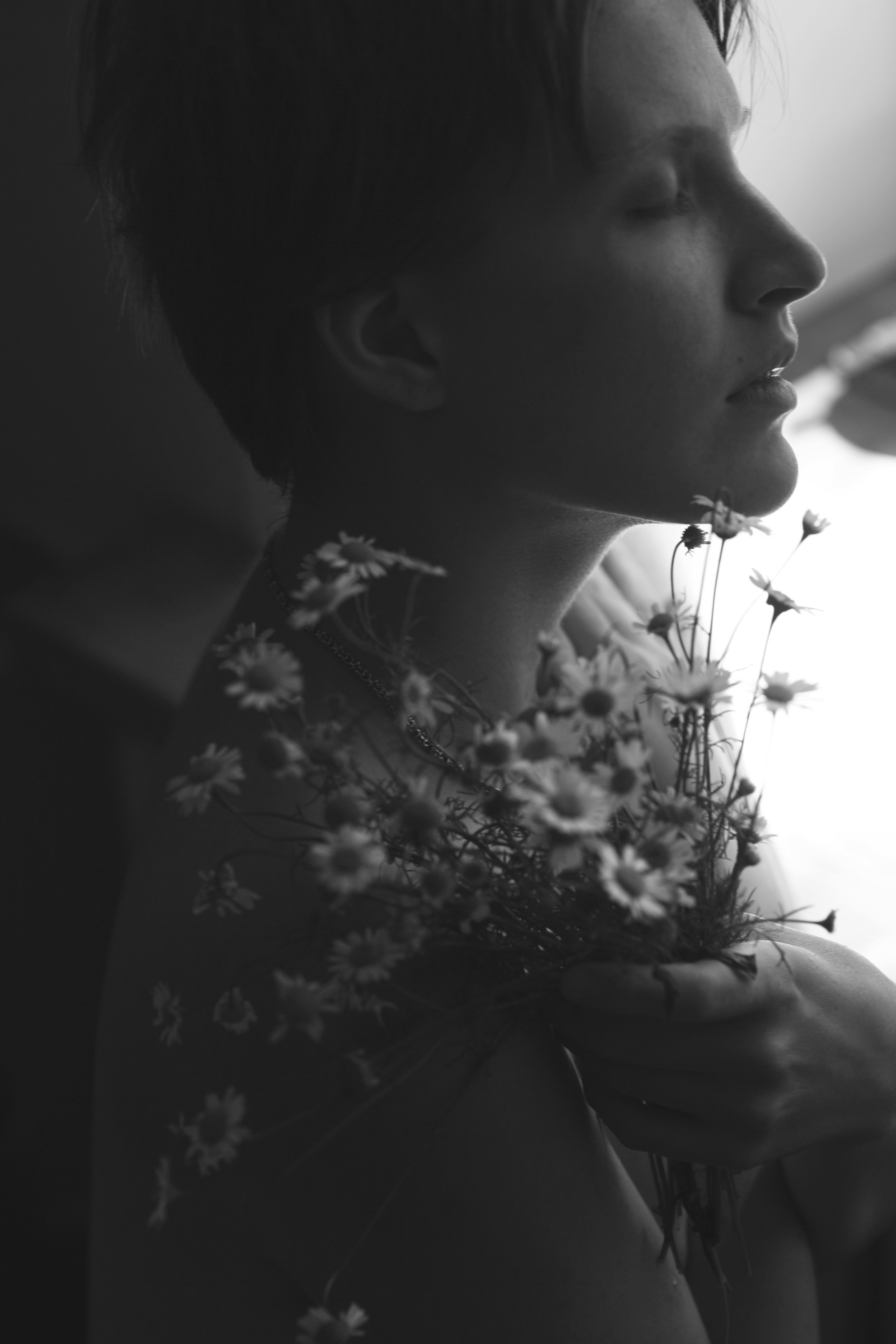 Ромашки. Свадебный и репортажный фотограф в Ярославле и Санкт-Петербурге Роман Микрюков