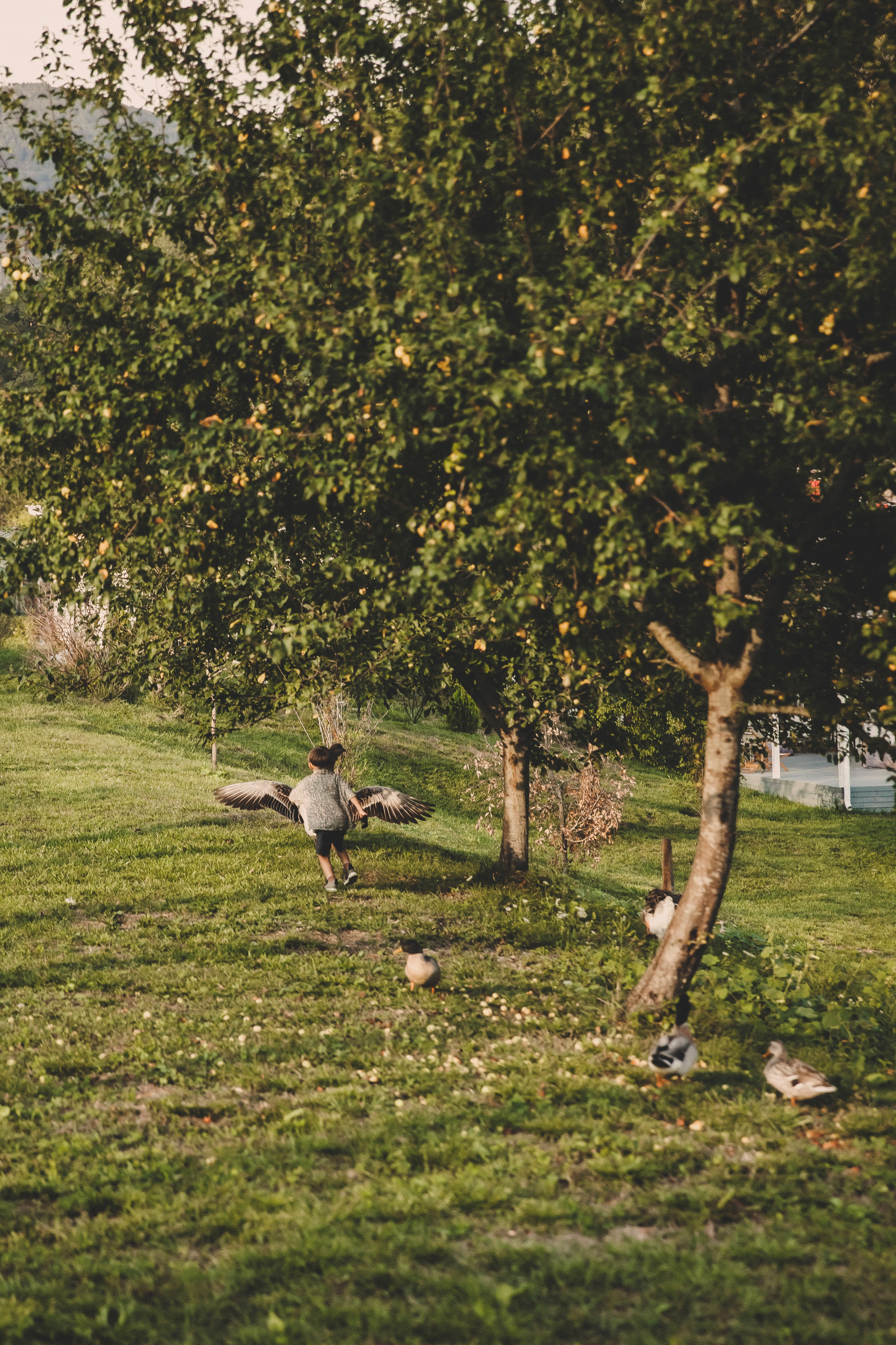 Семья Татьяны. Свадебный и семейный фотограф Колоскова Мария (Сочи и весь мир)