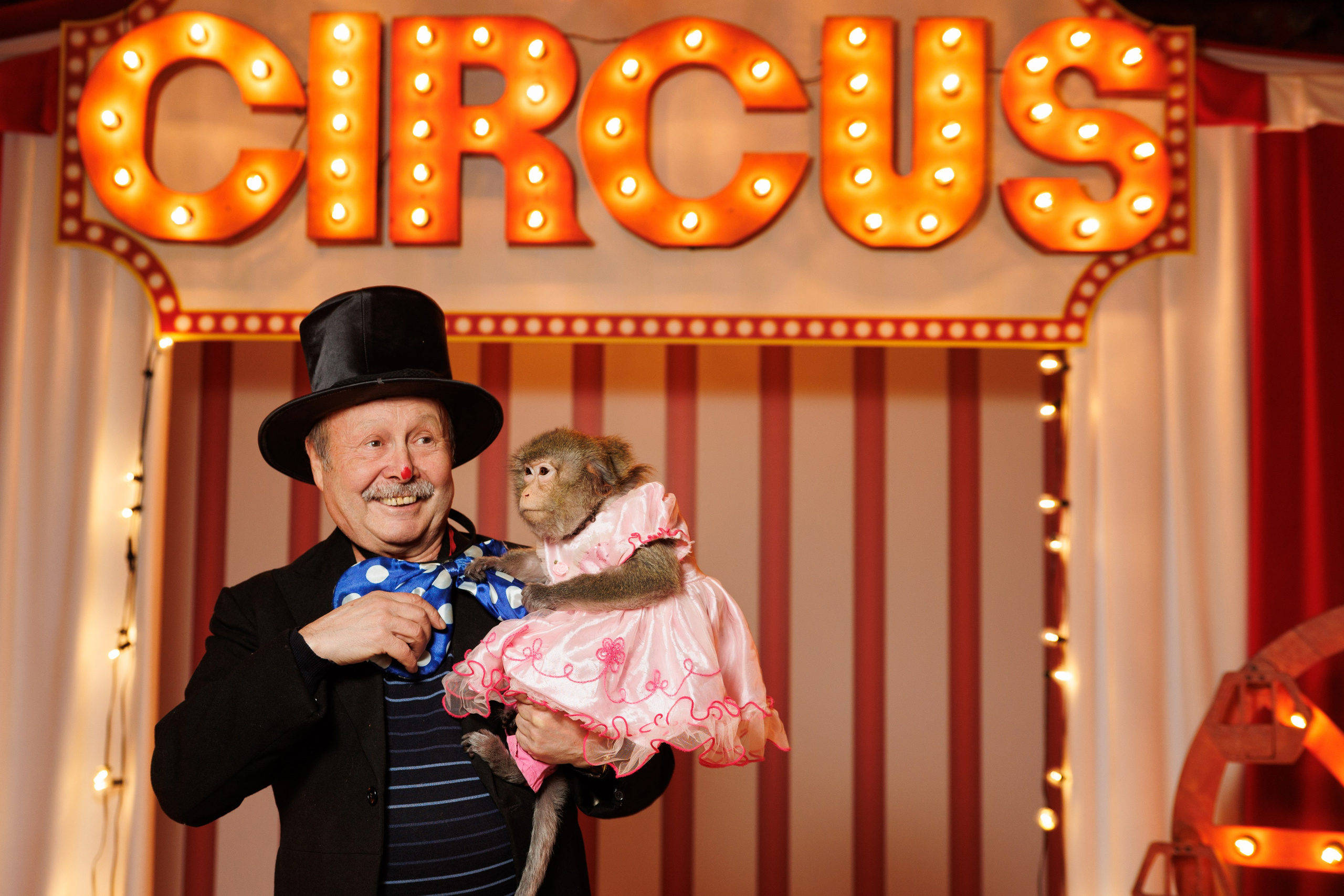 Корпоратив в стиле «Цирк». Репортажный фотограф Ольга Кочетова в Москве