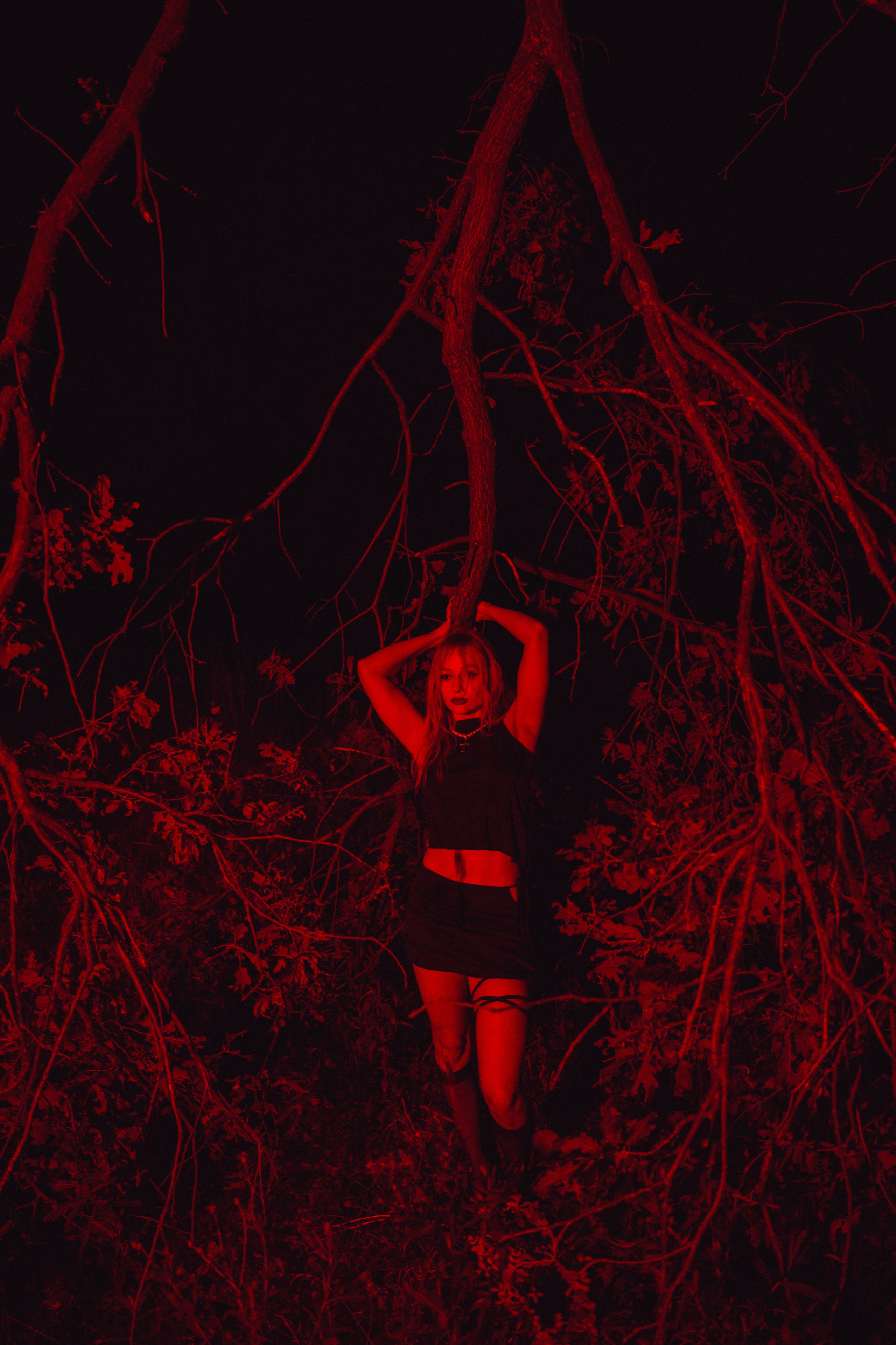 Ночной стиль дубов. Свадебный и репортажный фотограф Павел Царьков