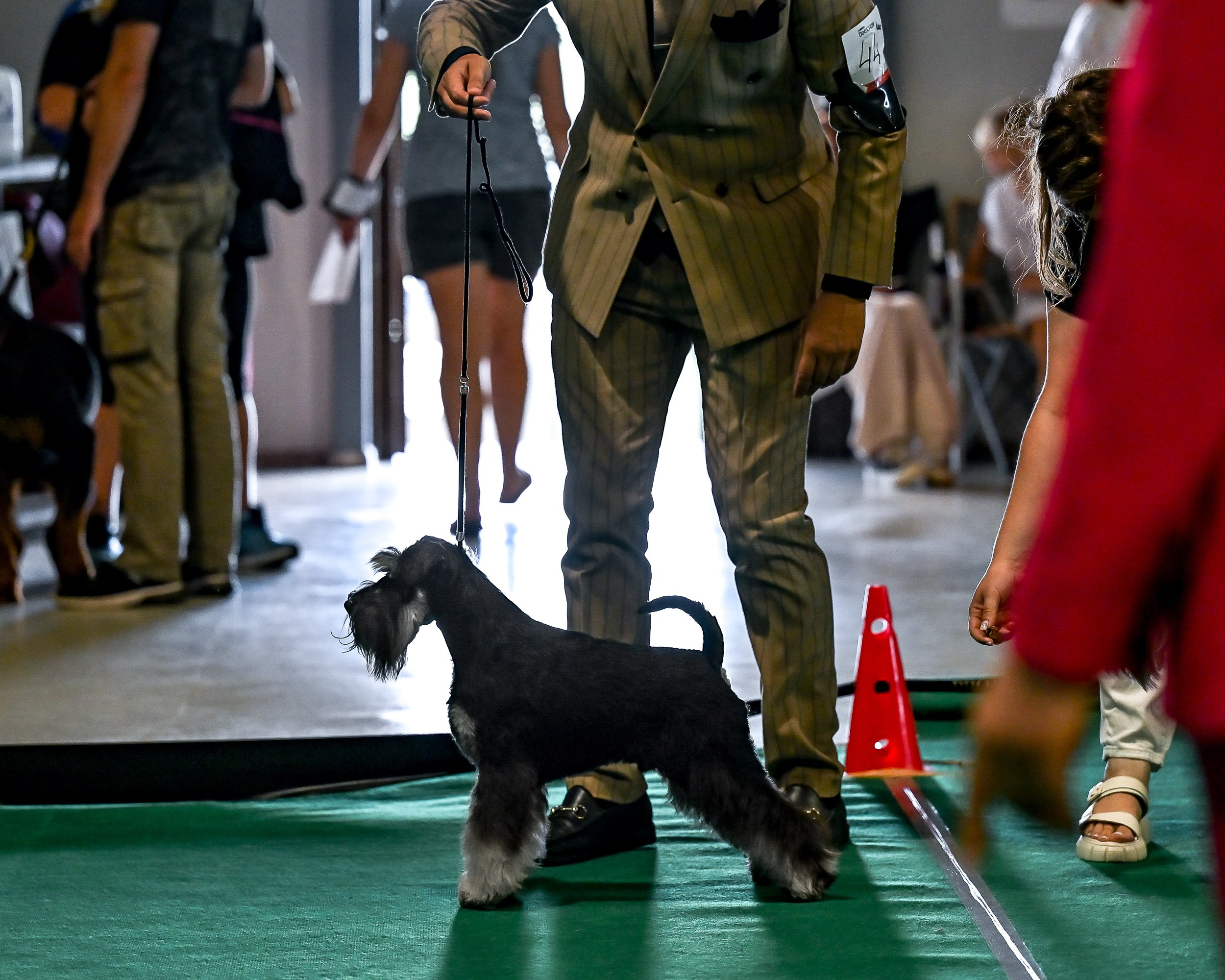 Цафир⚡️DELINSO BALANCE СZAFIR LUMIER